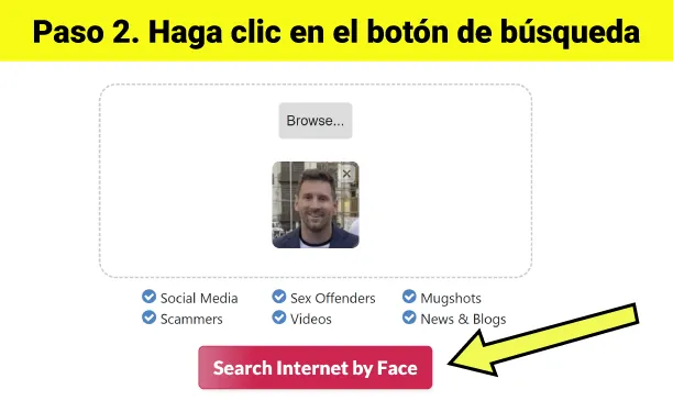 Haz clic en el botón de búsqueda