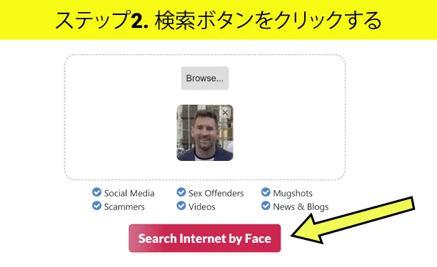 Click on the Search Button