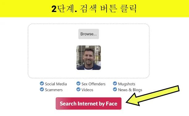 Click on the Search Button