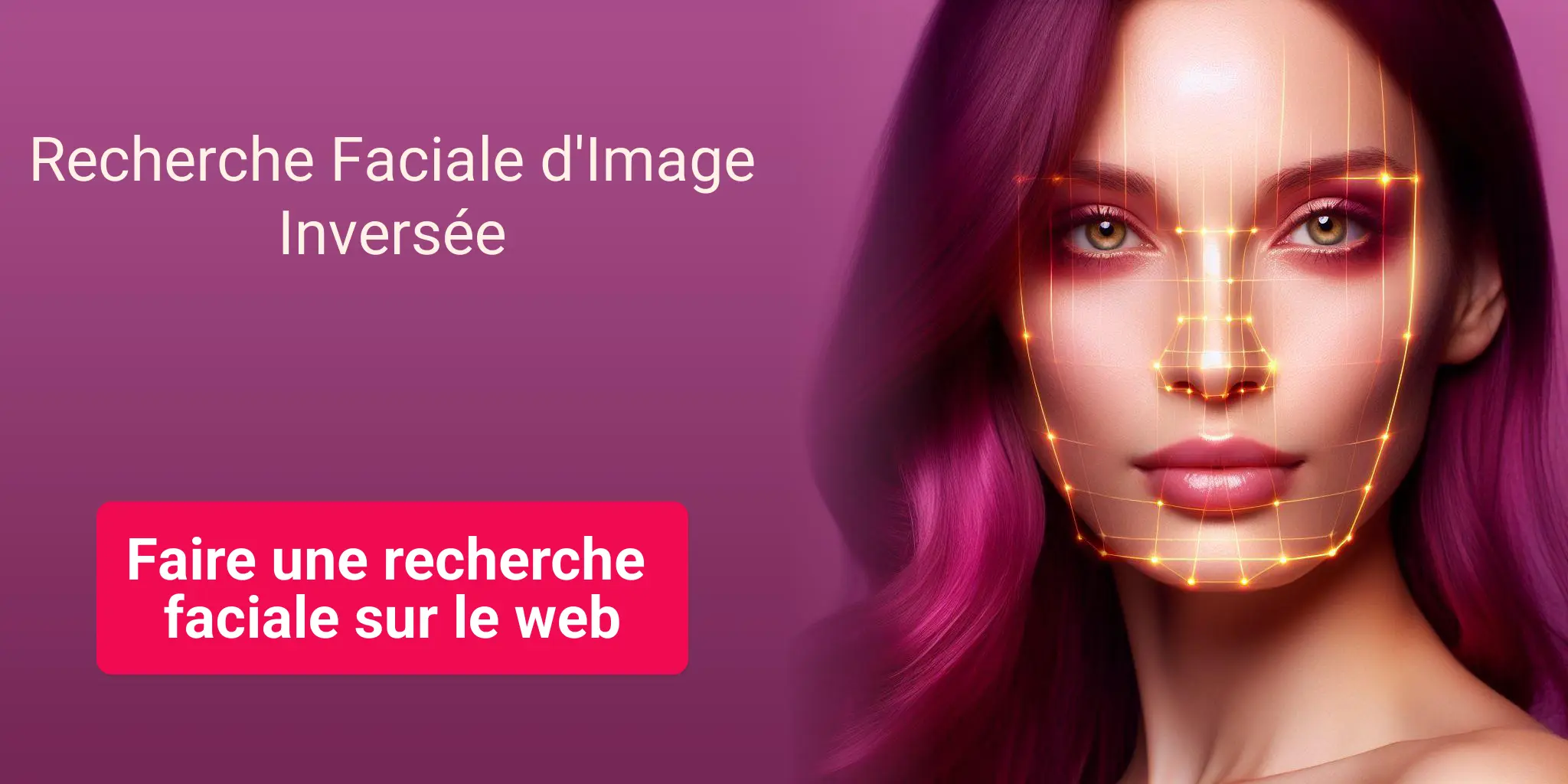 Faire une recherche faciale sur le web, Recherche Faciale d'Image Inversée