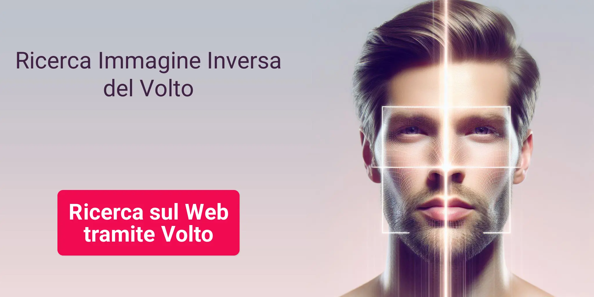 Ricerca sul Web tramite Volto, Ricerca Immagine Inversa del Volto