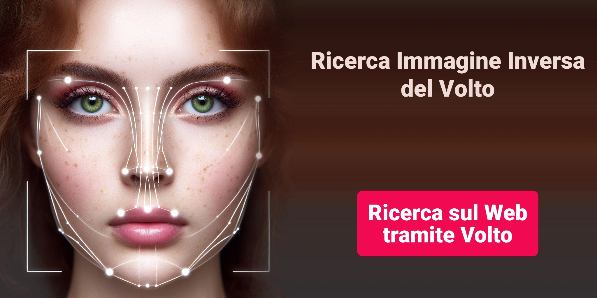 Ricerca sul Web tramite Volto, Ricerca Immagine Inversa del Volto