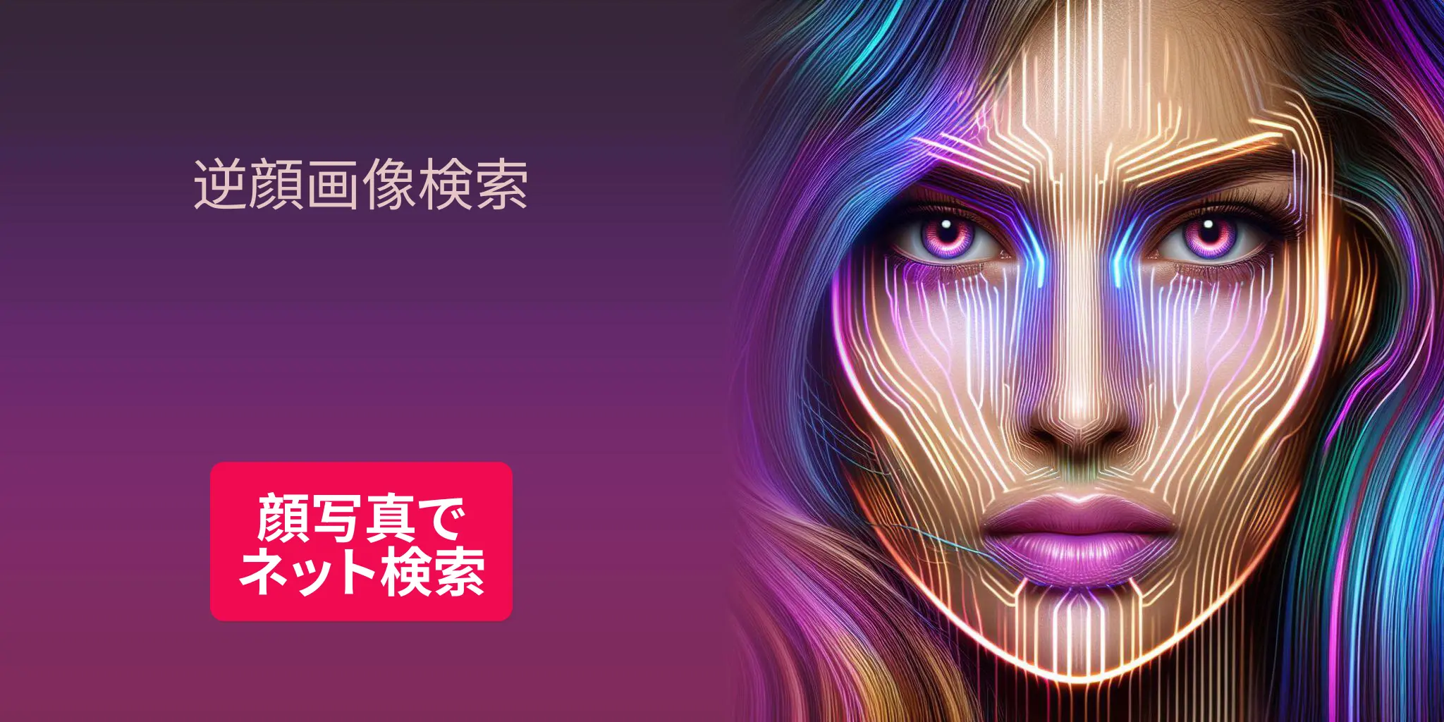 顔写真でネット検索, 逆顔画像検索