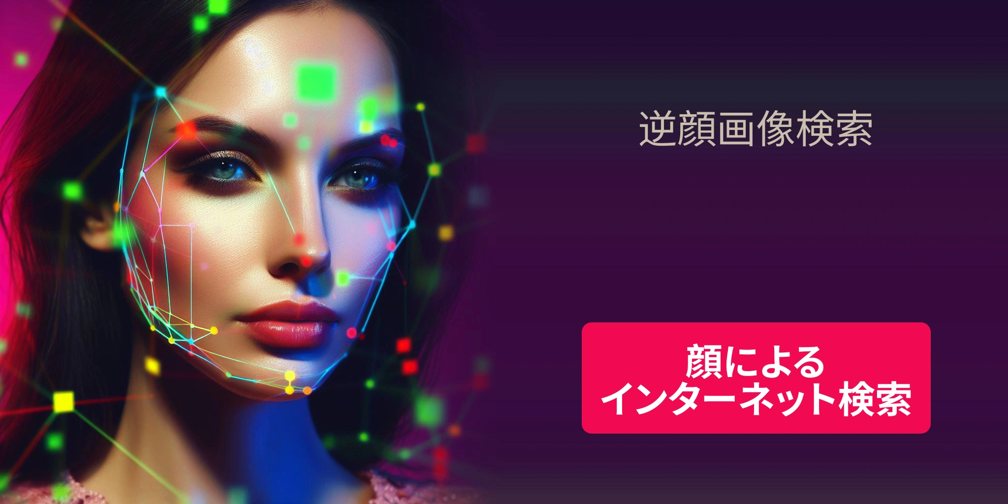 逆顔画像検索 - 顔によるインターネット検索