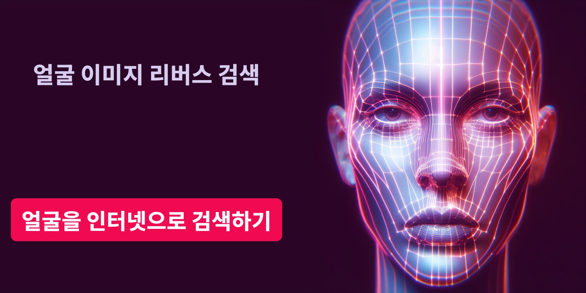 얼굴을 인터넷으로 검색하기, 얼굴 이미지 리버스 검색