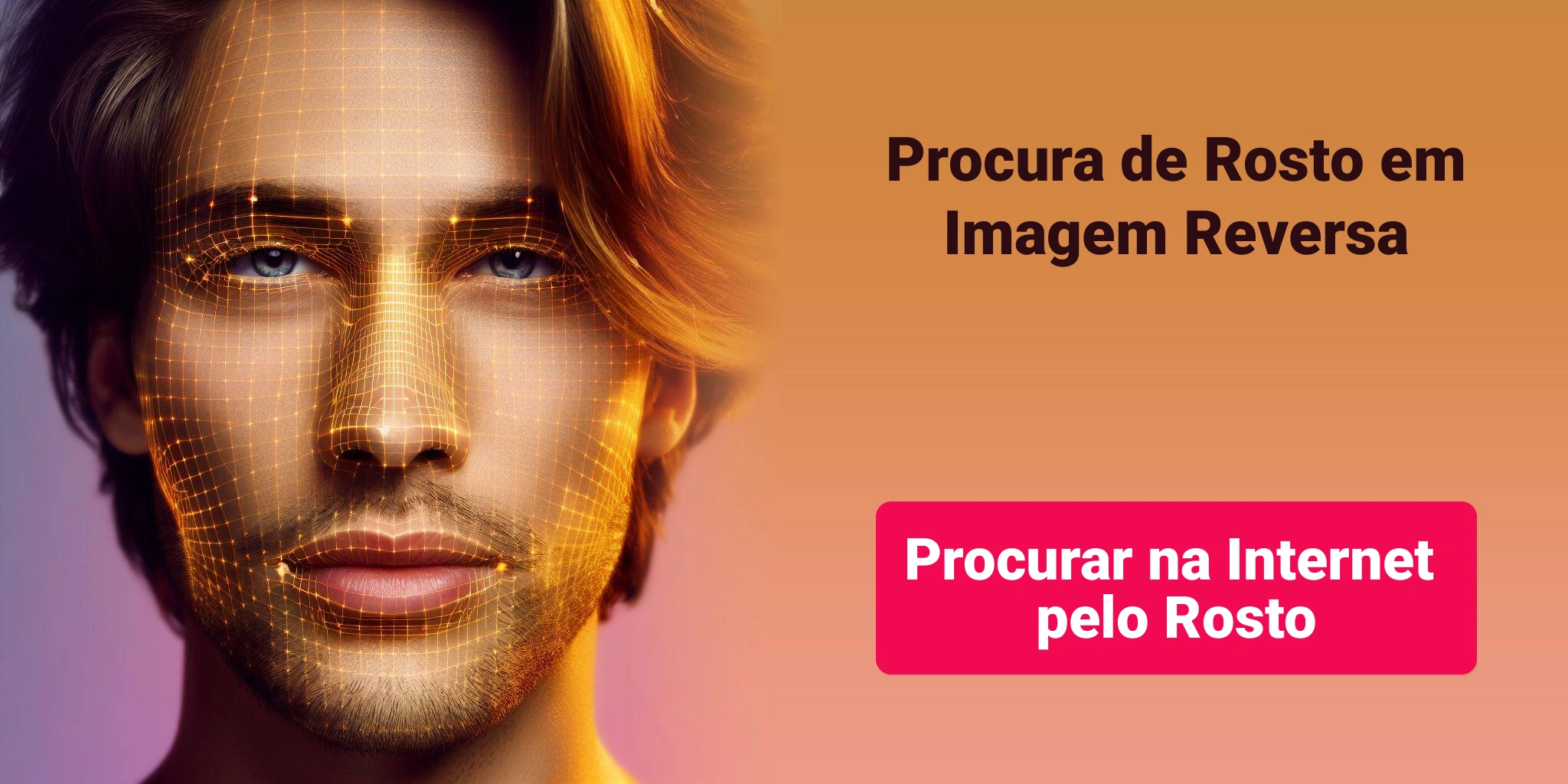 Procurar na Internet pelo Rosto, Procura de Rosto em Imagem Reversa