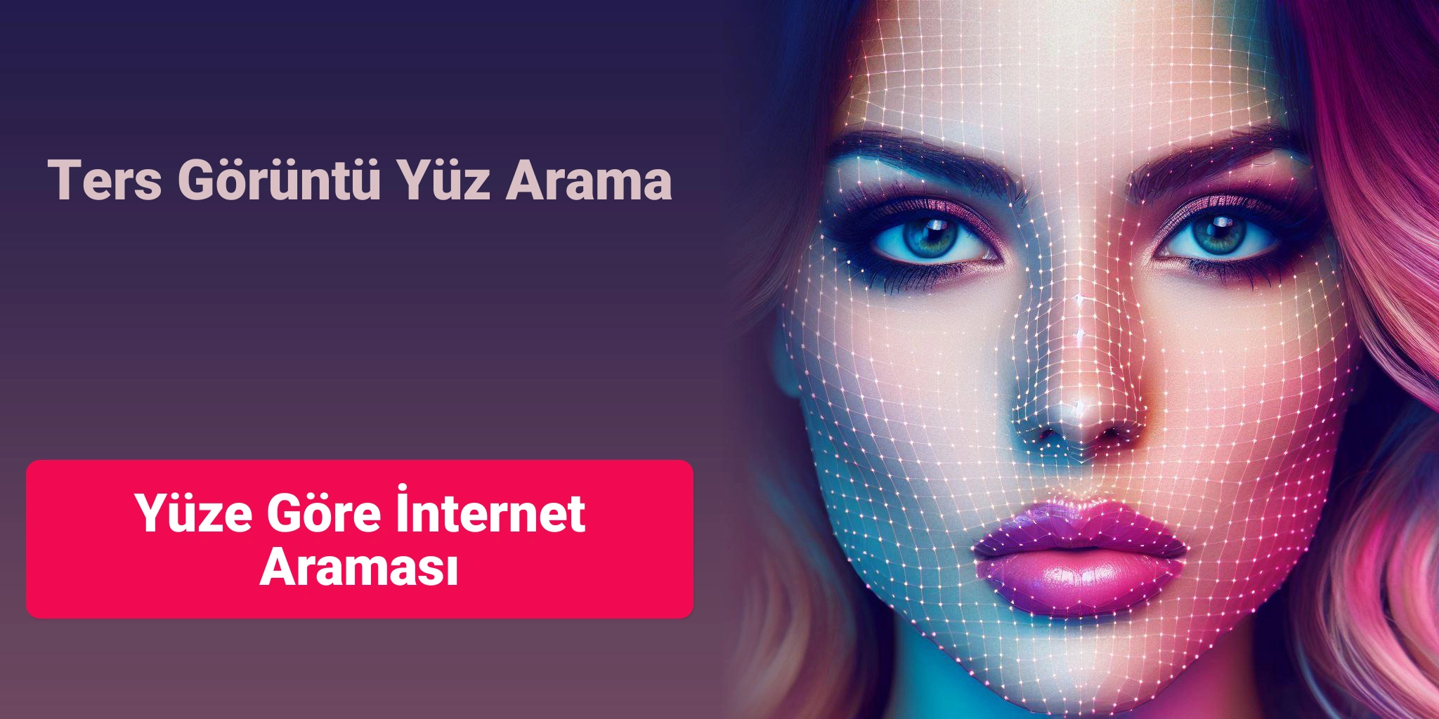 Yüze Göre İnternet Araması, Ters Görüntü Yüz Arama