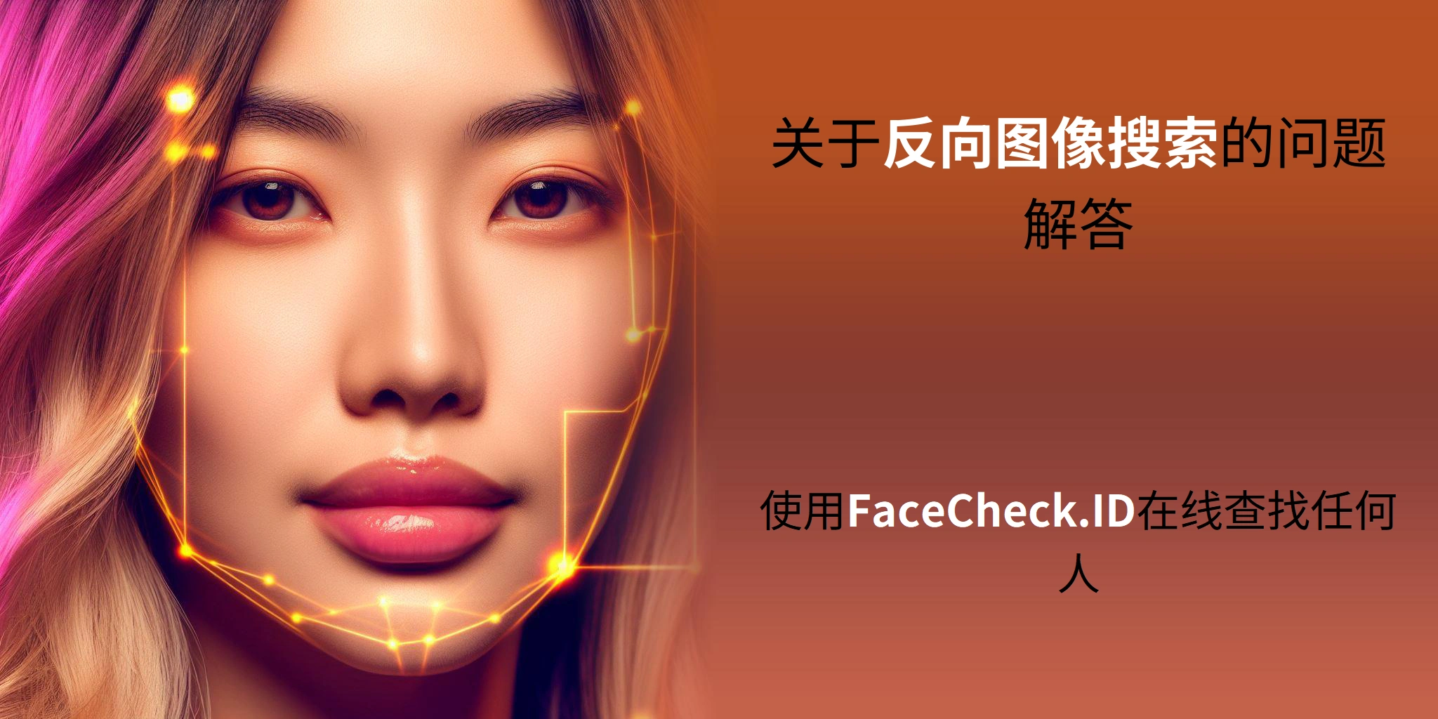 关于反向图像搜索的问题解答 使用FaceCheck.ID在线查找任何人