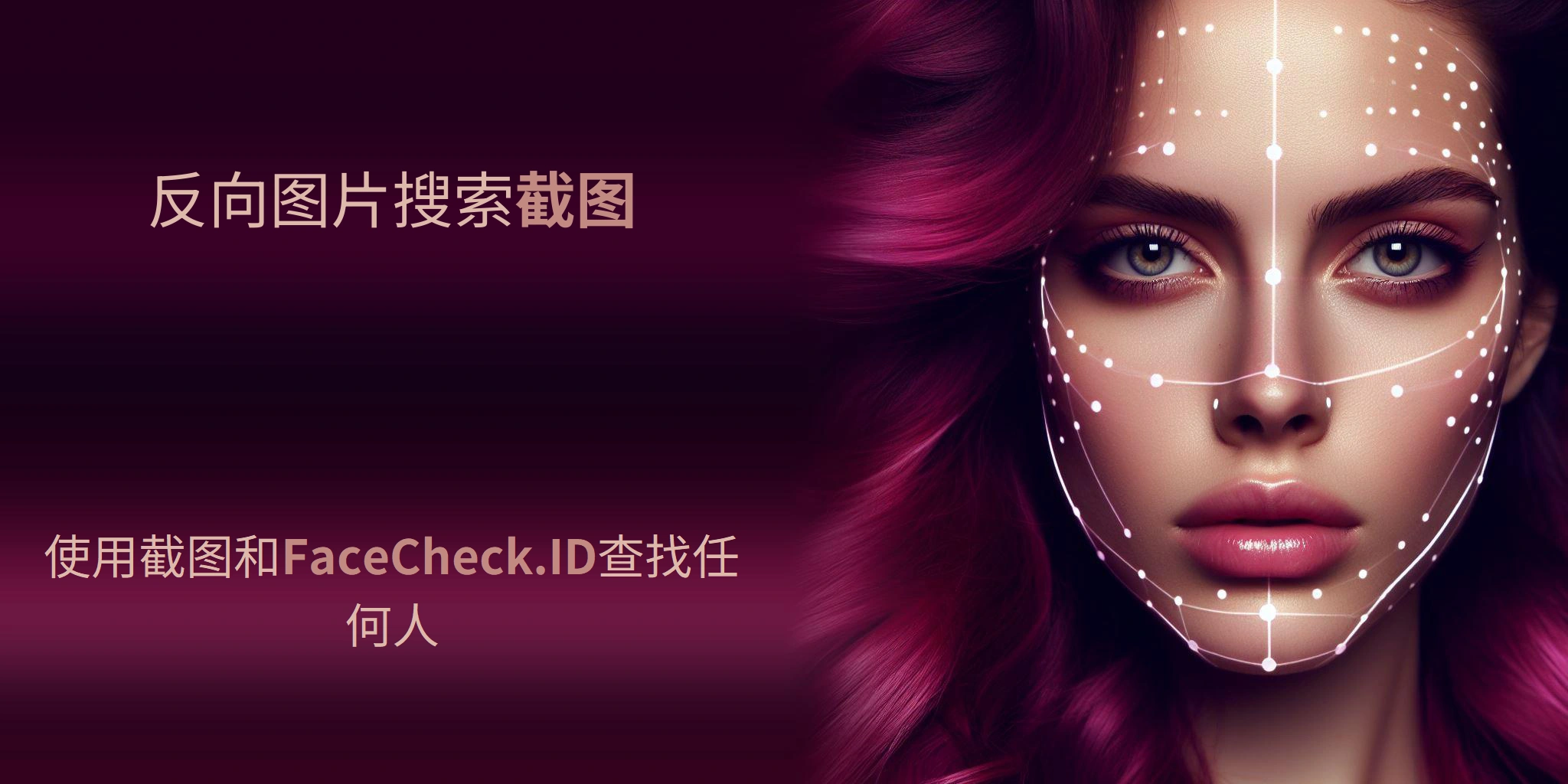 反向图片搜索截图 - 使用截图和FaceCheck.ID查找任何人