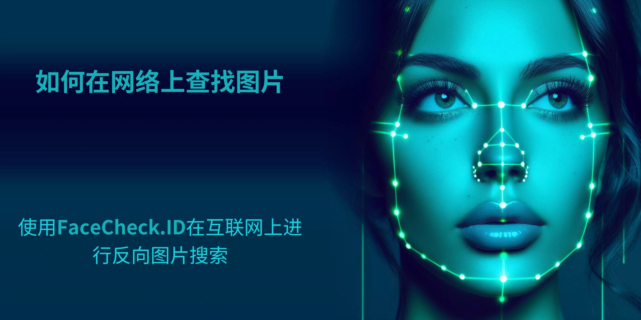 如何在网络上查找图片 使用FaceCheck.ID在互联网上进行反向图片搜索
