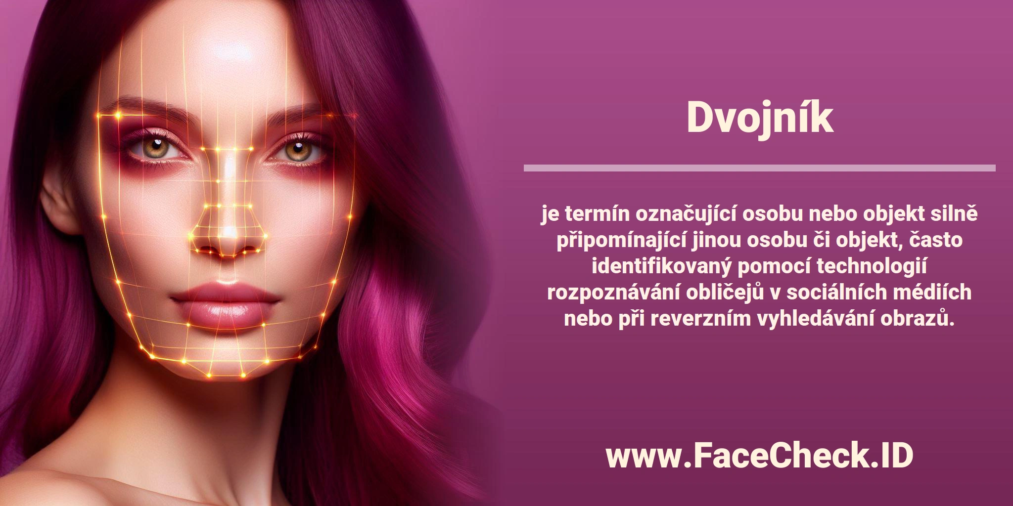 <b>Dvojník</b> je termín označující osobu nebo objekt silně připomínající jinou osobu či objekt, často identifikovaný pomocí technologií rozpoznávání obličejů v sociálních médiích nebo při reverzním vyhledávání obrazů.