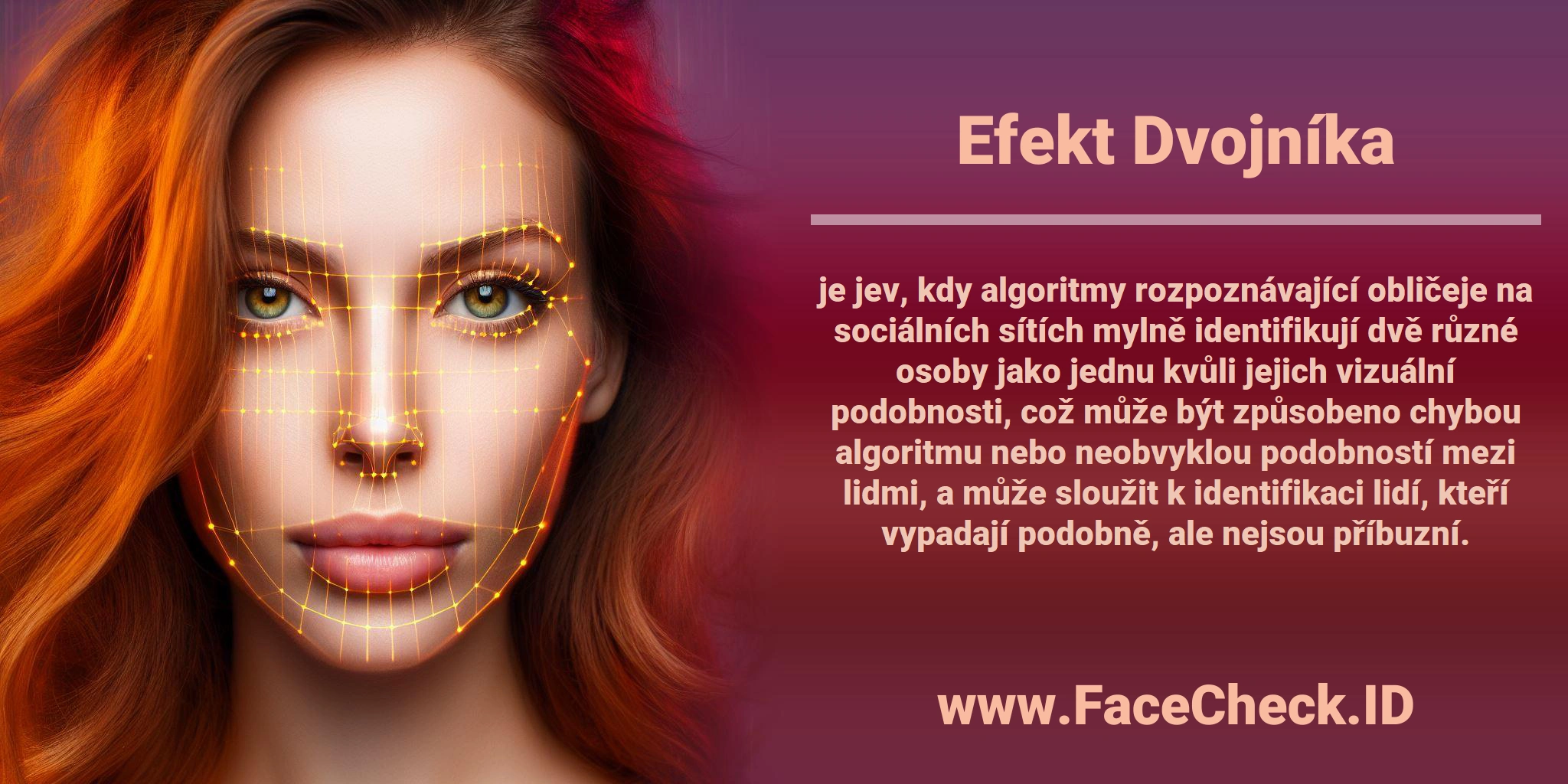 <b>Efekt Dvojníka</b> je jev, kdy algoritmy rozpoznávající obličeje na sociálních sítích mylně identifikují dvě různé osoby jako jednu kvůli jejich vizuální podobnosti, což může být způsobeno chybou algoritmu nebo neobvyklou podobností mezi lidmi, a může sloužit k identifikaci lidí, kteří vypadají podobně, ale nejsou příbuzní.