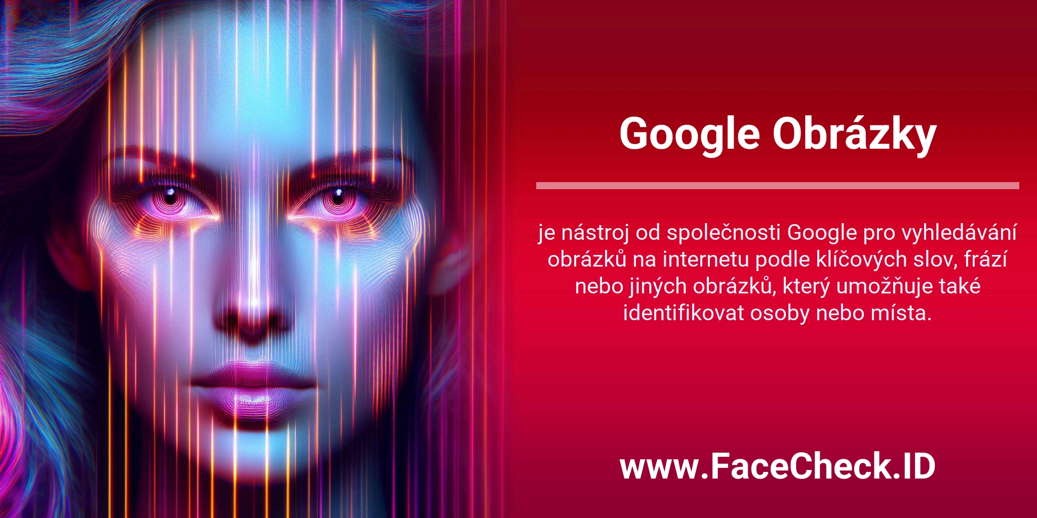 Google Obrázky je nástroj od společnosti Google pro vyhledávání obrázků na internetu podle klíčových slov, frází nebo jiných obrázků, který umožňuje také identifikovat osoby nebo místa.