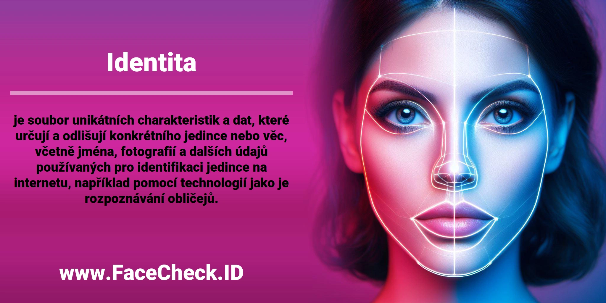 <b>Identita</b> je soubor unikátních charakteristik a dat, které určují a odlišují konkrétního jedince nebo věc, včetně jména, fotografií a dalších údajů používaných pro identifikaci jedince na internetu, například pomocí technologií jako je rozpoznávání obličejů.