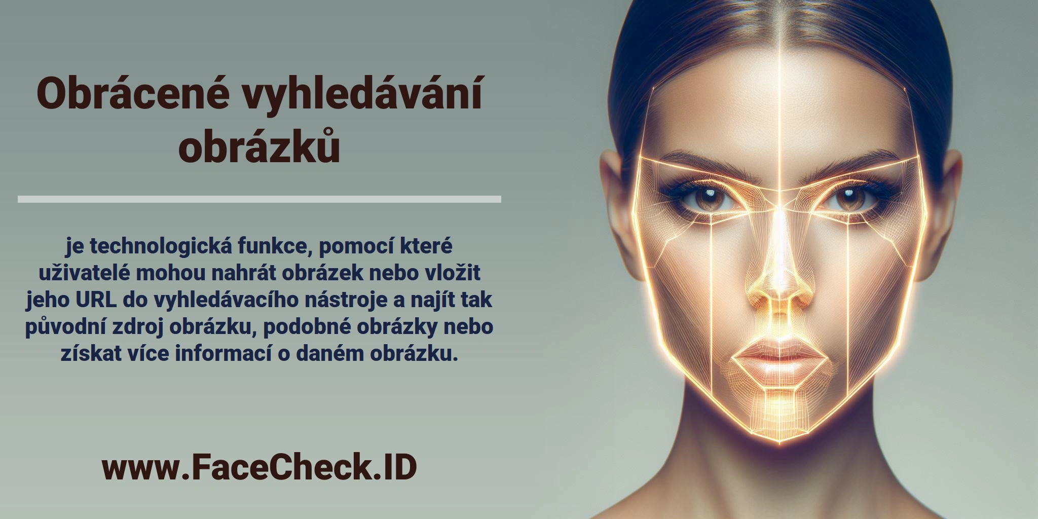 <b>Obrácené vyhledávání obrázků</b> je technologická funkce, pomocí které uživatelé mohou nahrát obrázek nebo vložit jeho URL do vyhledávacího nástroje a najít tak původní zdroj obrázku, podobné obrázky nebo získat více informací o daném obrázku.