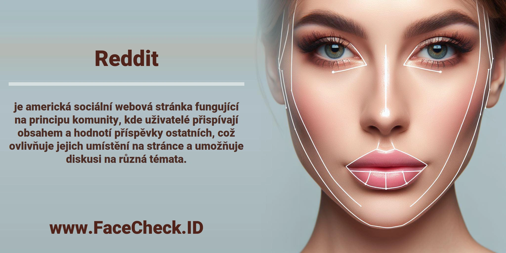 <b>Reddit</b> je americká sociální webová stránka fungující na principu komunity, kde uživatelé přispívají obsahem a hodnotí příspěvky ostatních, což ovlivňuje jejich umístění na stránce a umožňuje diskusi na různá témata.