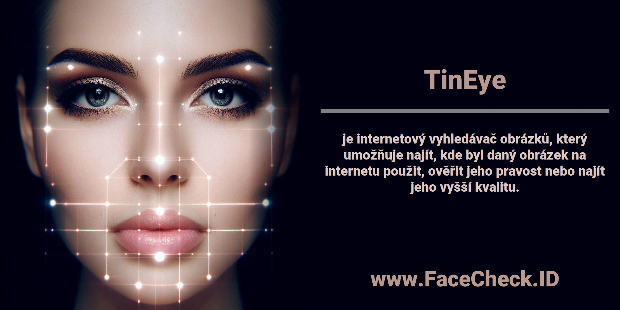 <b>TinEye</b> je internetový vyhledávač obrázků, který umožňuje najít, kde byl daný obrázek na internetu použit, ověřit jeho pravost nebo najít jeho vyšší kvalitu.