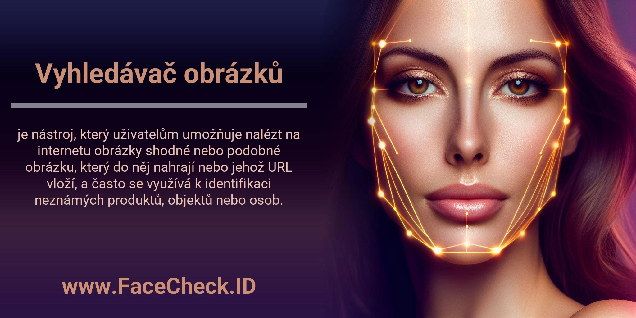 Vyhledávač obrázků je nástroj, který uživatelům umožňuje nalézt na internetu obrázky shodné nebo podobné obrázku, který do něj nahrají nebo jehož URL vloží, a často se využívá k identifikaci neznámých produktů, objektů nebo osob.