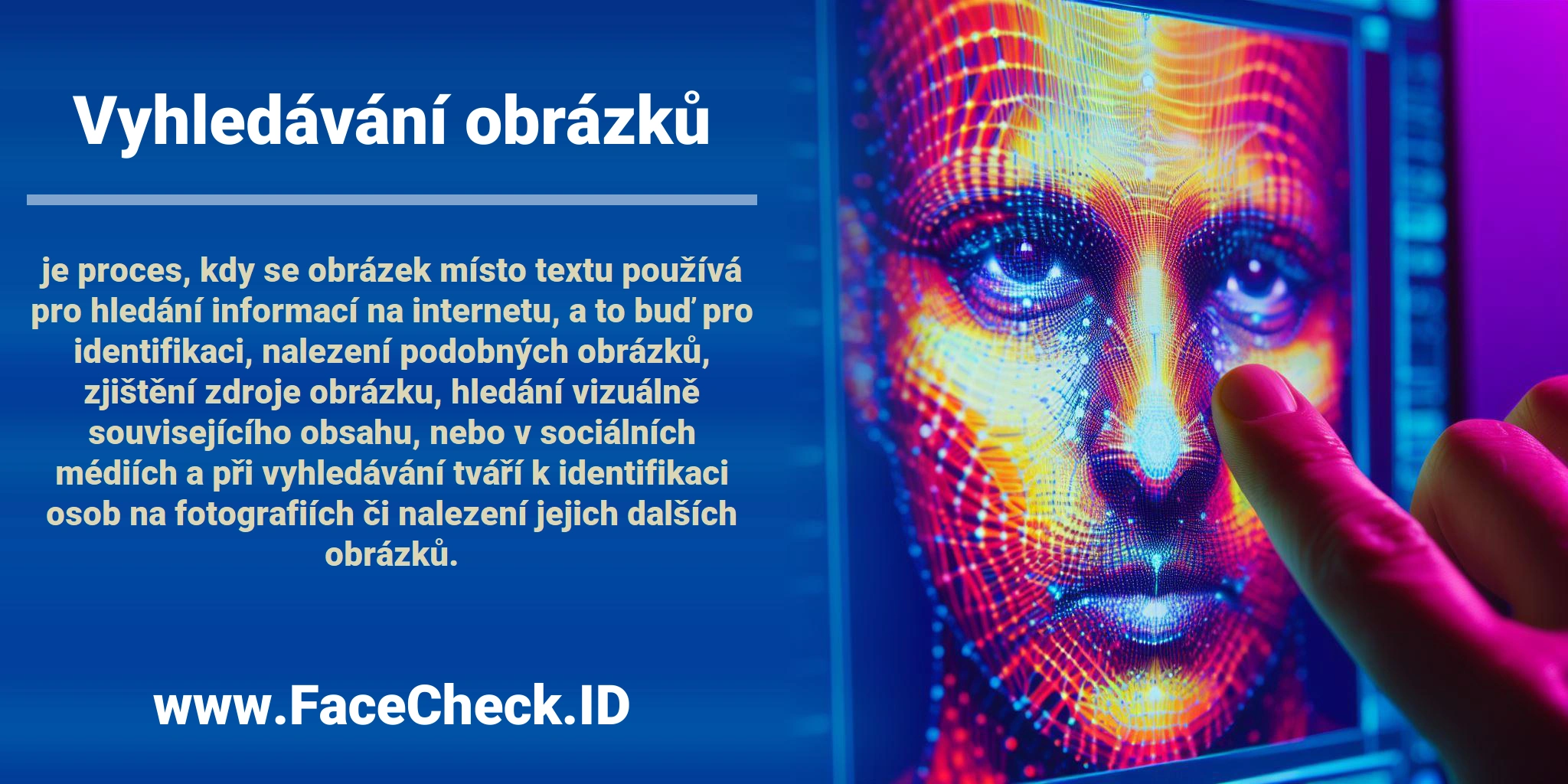 <b>Vyhledávání obrázků</b> je proces, kdy se obrázek místo textu používá pro hledání informací na internetu, a to buď pro identifikaci, nalezení podobných obrázků, zjištění zdroje obrázku, hledání vizuálně souvisejícího obsahu, nebo v sociálních médiích a při vyhledávání tváří k identifikaci osob na fotografiích či nalezení jejich dalších obrázků.
