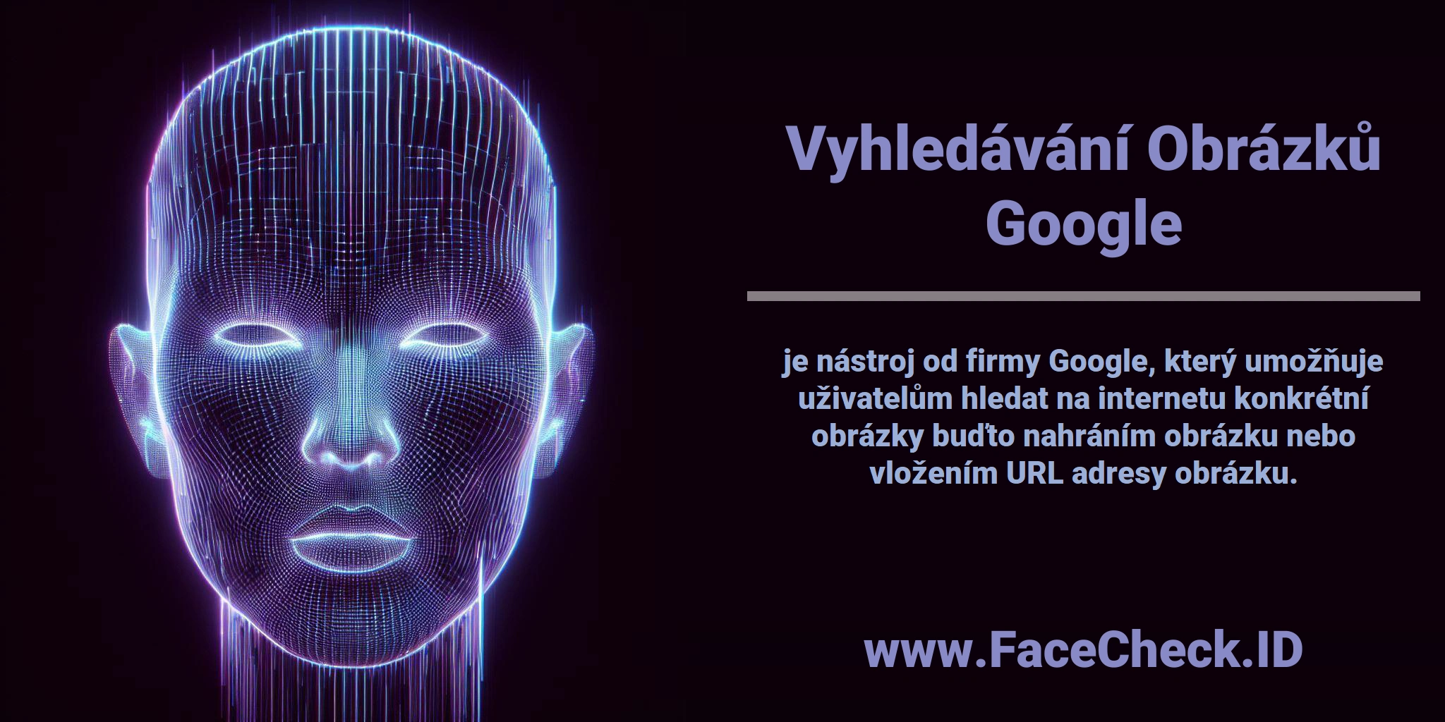 <b>Vyhledávání Obrázků Google</b> je nástroj od firmy Google, který umožňuje uživatelům hledat na internetu konkrétní obrázky buďto nahráním obrázku nebo vložením URL adresy obrázku.