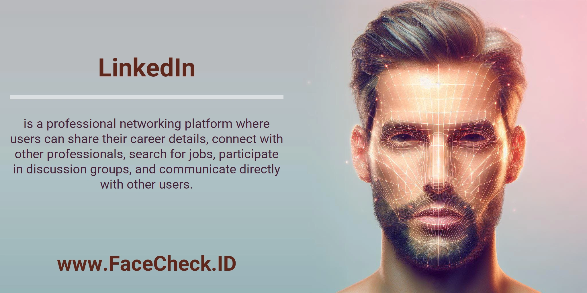 LinkedIn is a professional networking platform where users can share their career details, connect with other professionals, search for jobs, participate in discussion groups, and communicate directly with other users.