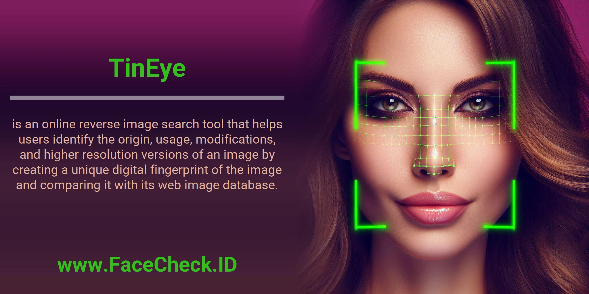 TinEye is an online reverse image search tool that helps users identify the origin, usage, modifications, and higher resolution versions of an image by creating a unique digital fingerprint of the image and comparing it with its web image database.