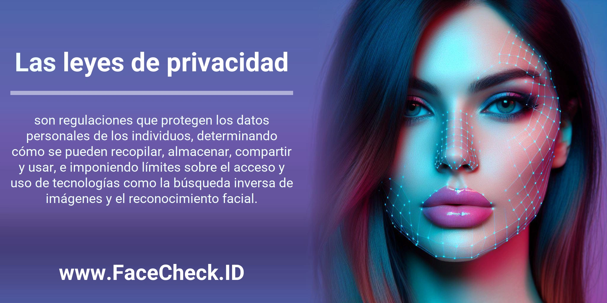 Las leyes de privacidad son regulaciones que protegen los datos personales de los individuos, determinando cómo se pueden recopilar, almacenar, compartir y usar, e imponiendo límites sobre el acceso y uso de tecnologías como la búsqueda inversa de imágenes y el reconocimiento facial.