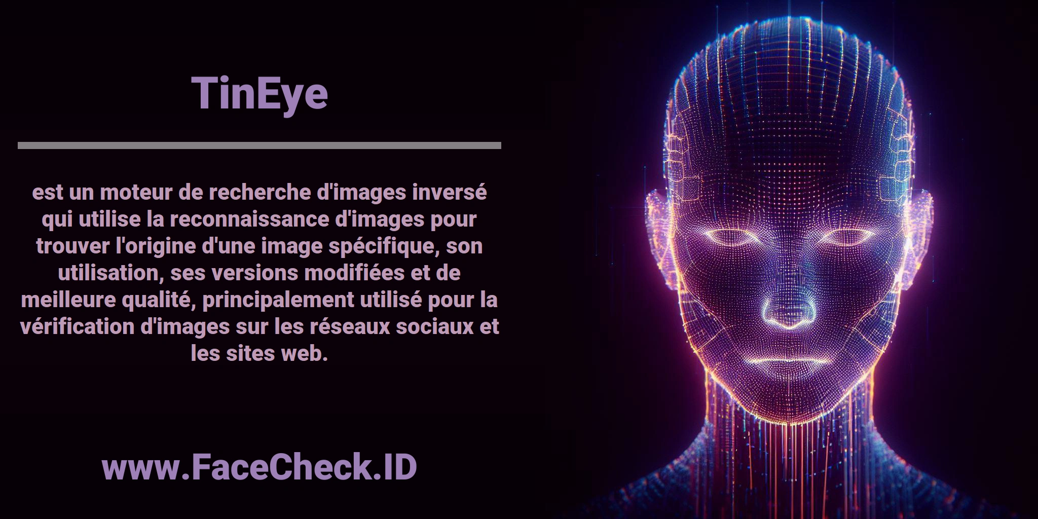<b>TinEye</b> est un moteur de recherche d'images inversé qui utilise la reconnaissance d'images pour trouver l'origine d'une image spécifique, son utilisation, ses versions modifiées et de meilleure qualité, principalement utilisé pour la vérification d'images sur les réseaux sociaux et les sites web.