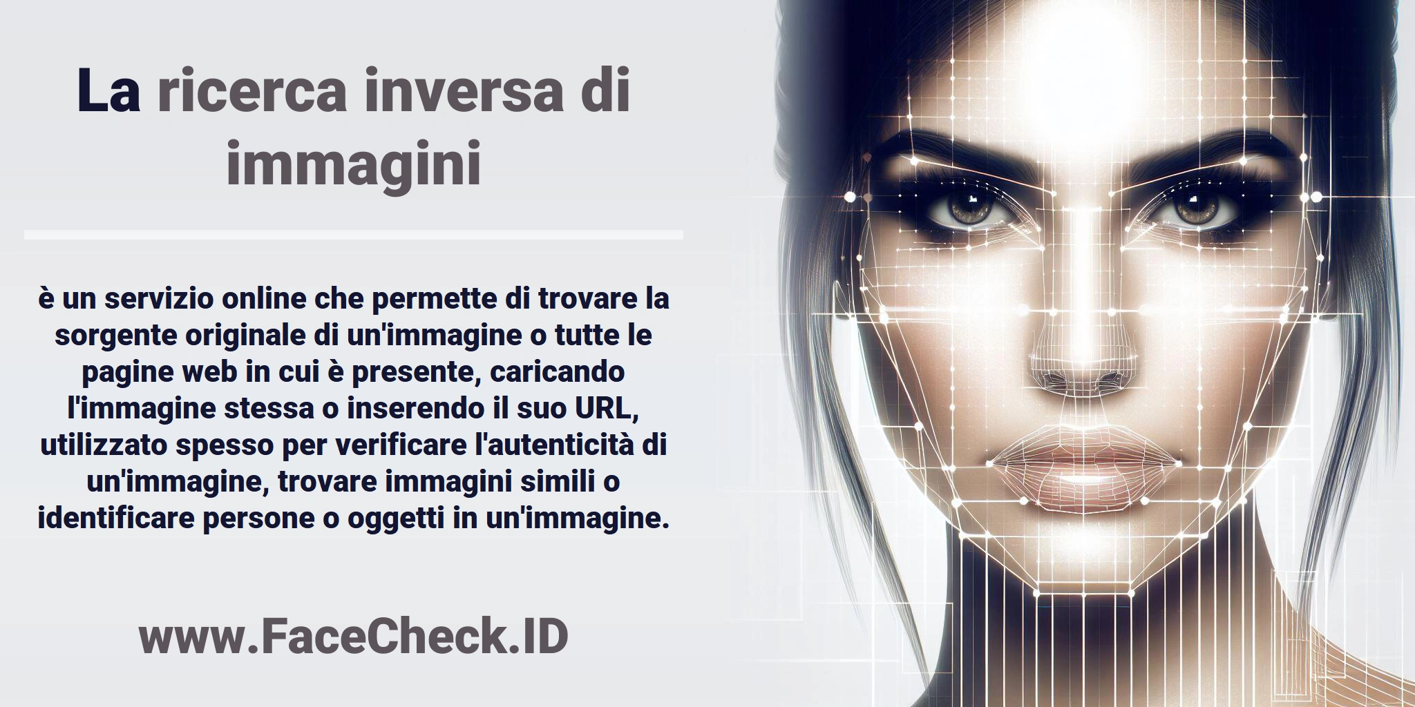 La <b>ricerca inversa di immagini</b> è un servizio online che permette di trovare la sorgente originale di un'immagine o tutte le pagine web in cui è presente, caricando l'immagine stessa o inserendo il suo URL, utilizzato spesso per verificare l'autenticità di un'immagine, trovare immagini simili o identificare persone o oggetti in un'immagine.