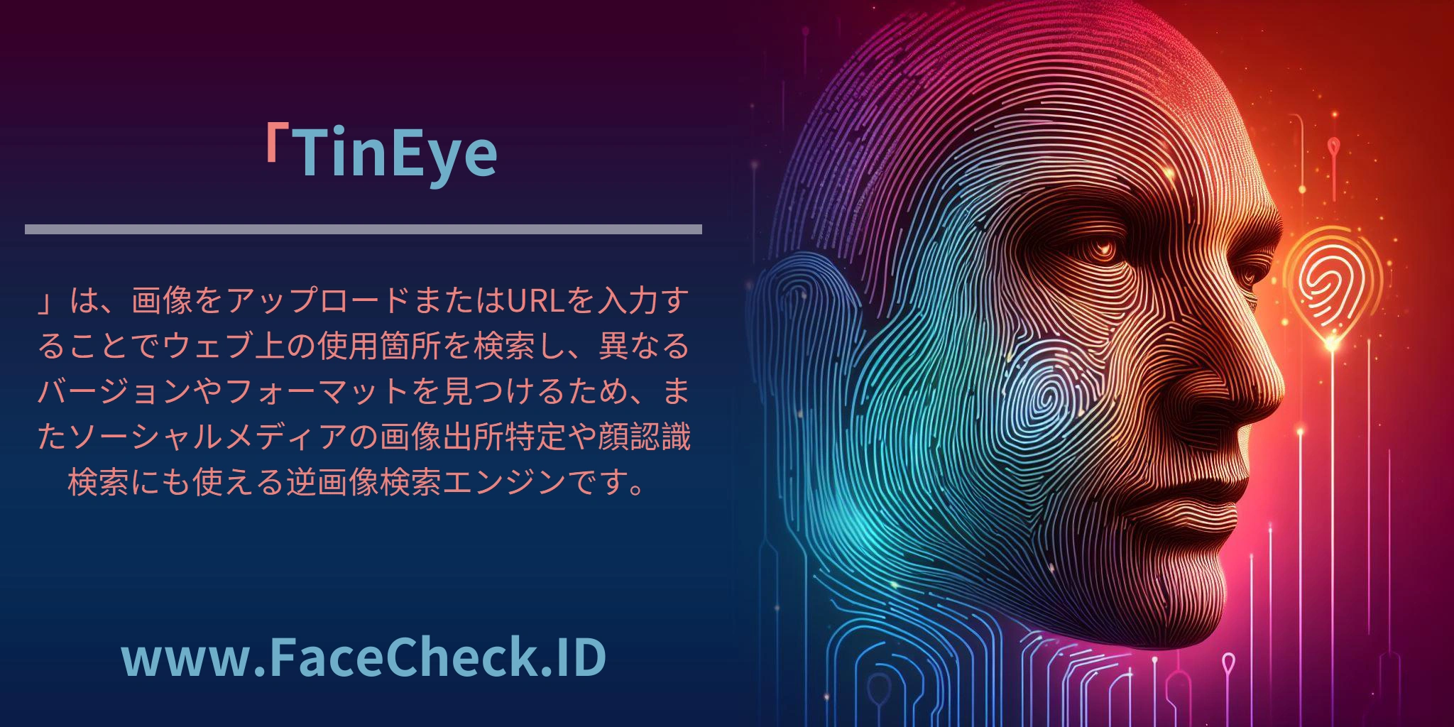 「<b>TinEye</b>」は、画像をアップロードまたはURLを入力することでウェブ上の使用箇所を検索し、異なるバージョンやフォーマットを見つけるため、またソーシャルメディアの画像出所特定や顔認識検索にも使える逆画像検索エンジンです。