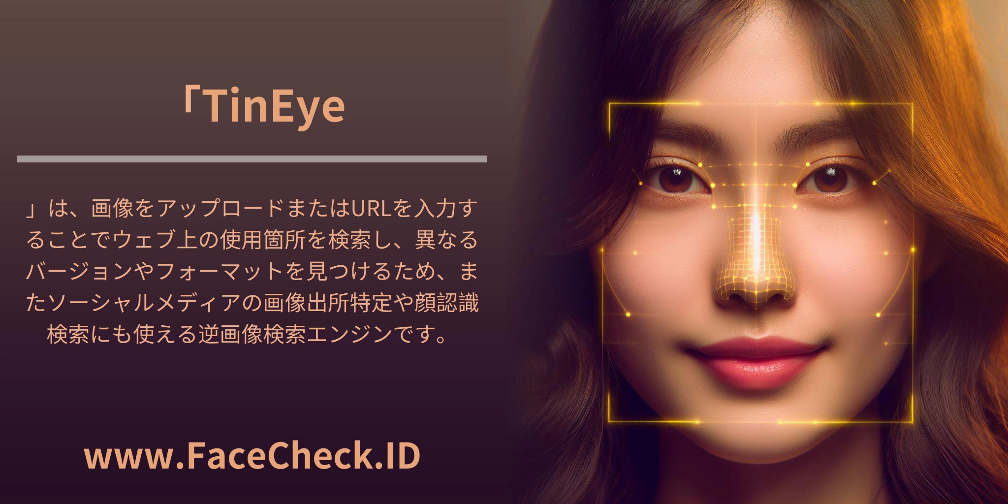 「TinEye」は、画像をアップロードまたはURLを入力することでウェブ上の使用箇所を検索し、異なるバージョンやフォーマットを見つけるため、またソーシャルメディアの画像出所特定や顔認識検索にも使える逆画像検索エンジンです。