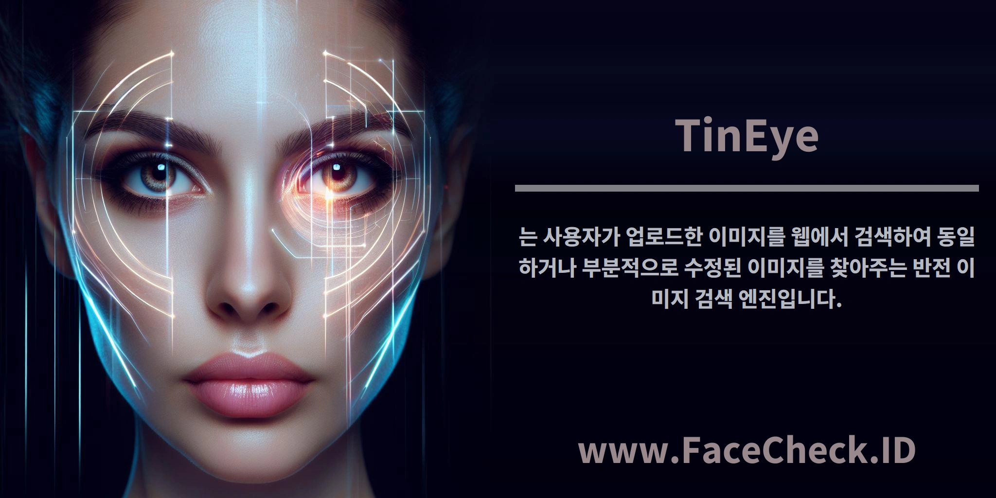 <b>TinEye</b>는 사용자가 업로드한 이미지를 웹에서 검색하여 동일하거나 부분적으로 수정된 이미지를 찾아주는 반전 이미지 검색 엔진입니다.