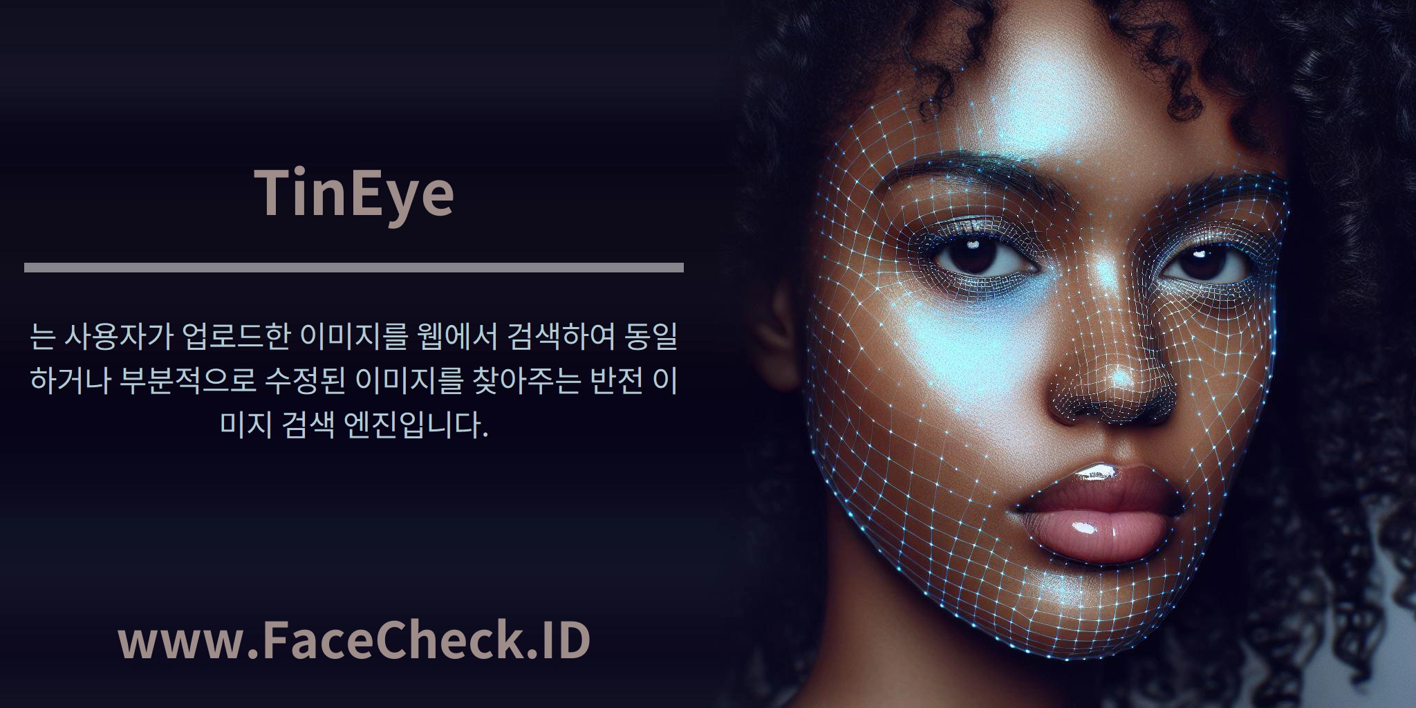 TinEye는 사용자가 업로드한 이미지를 웹에서 검색하여 동일하거나 부분적으로 수정된 이미지를 찾아주는 반전 이미지 검색 엔진입니다.