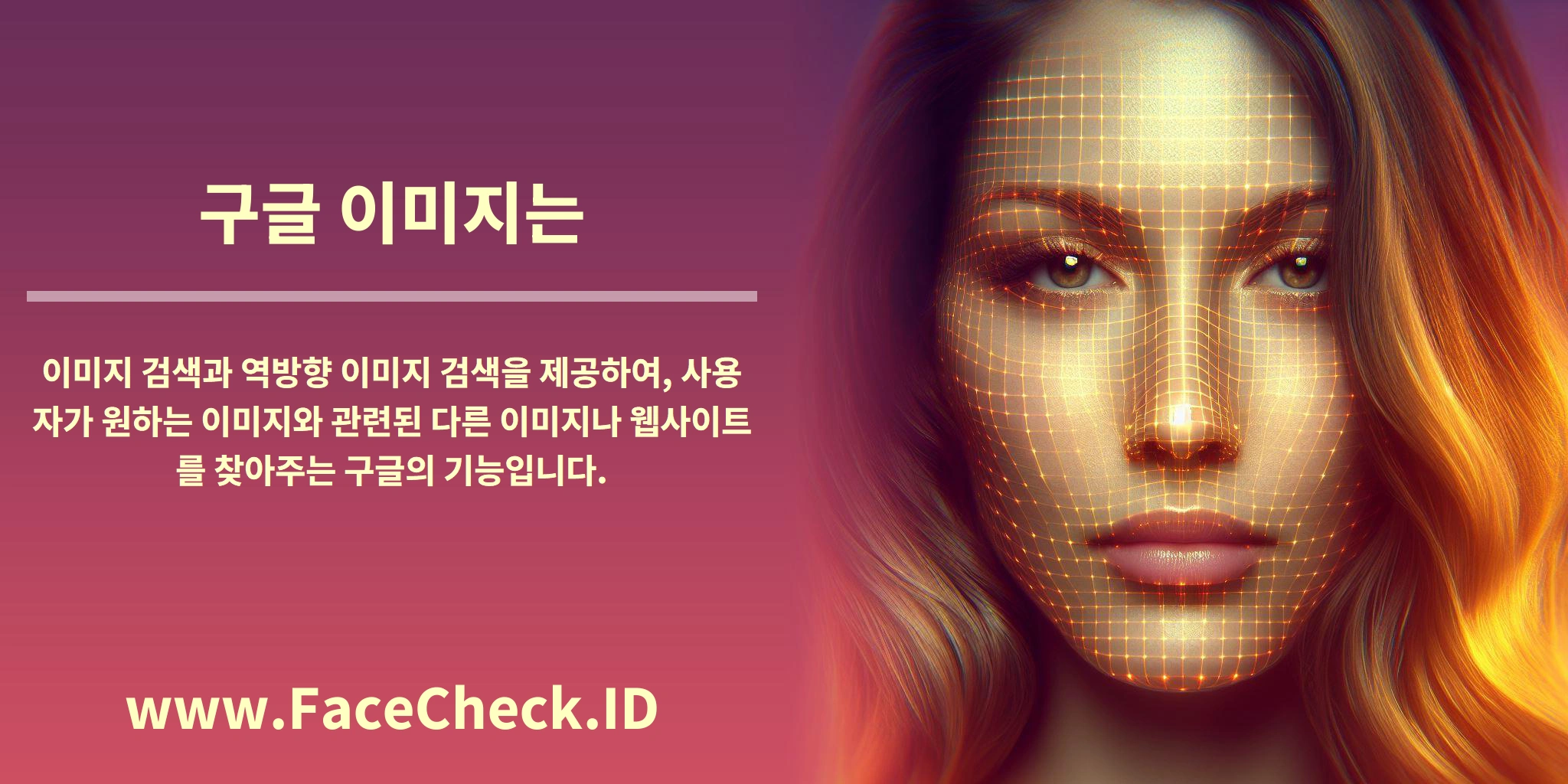 <b>구글 이미지는</b> 이미지 검색과 역방향 이미지 검색을 제공하여, 사용자가 원하는 이미지와 관련된 다른 이미지나 웹사이트를 찾아주는 구글의 기능입니다.