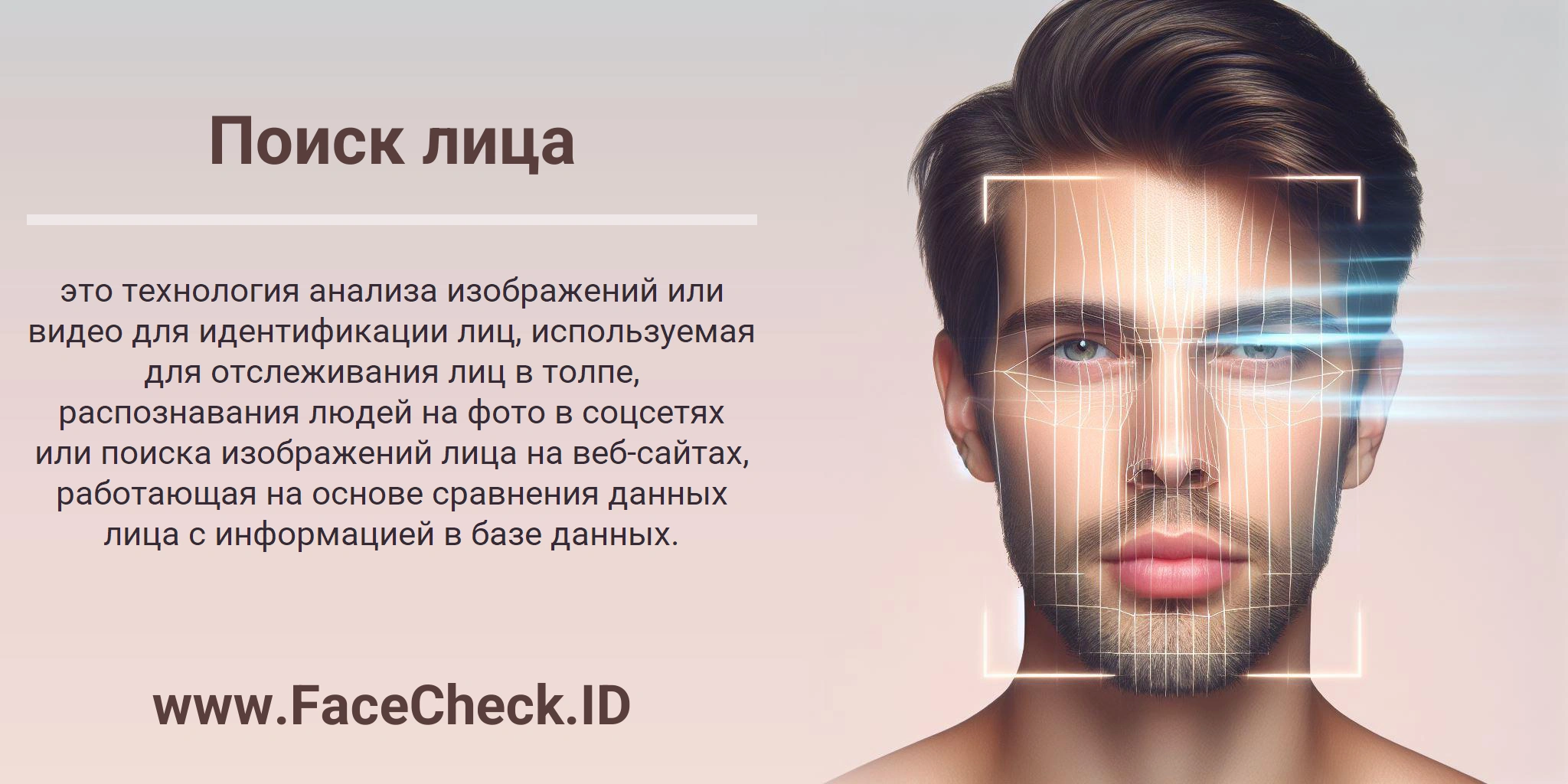 Поиск лица это технология анализа изображений или видео для идентификации лиц, используемая для отслеживания лиц в толпе, распознавания людей на фото в соцсетях или поиска изображений лица на веб-сайтах, работающая на основе сравнения данных лица с информацией в базе данных.