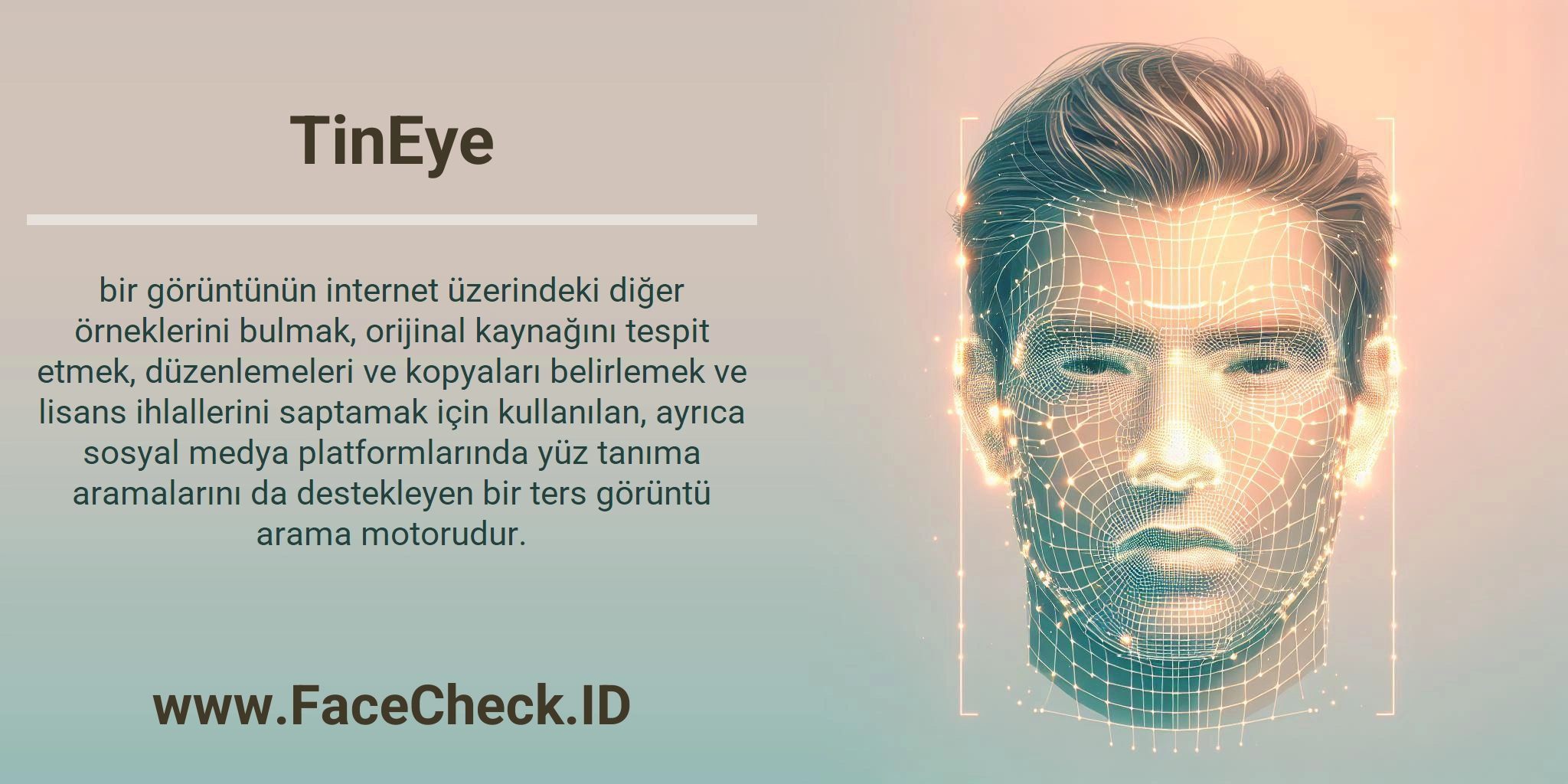 TinEye bir görüntünün internet üzerindeki diğer örneklerini bulmak, orijinal kaynağını tespit etmek, düzenlemeleri ve kopyaları belirlemek ve lisans ihlallerini saptamak için kullanılan, ayrıca sosyal medya platformlarında yüz tanıma aramalarını da destekleyen bir ters görüntü arama motorudur.