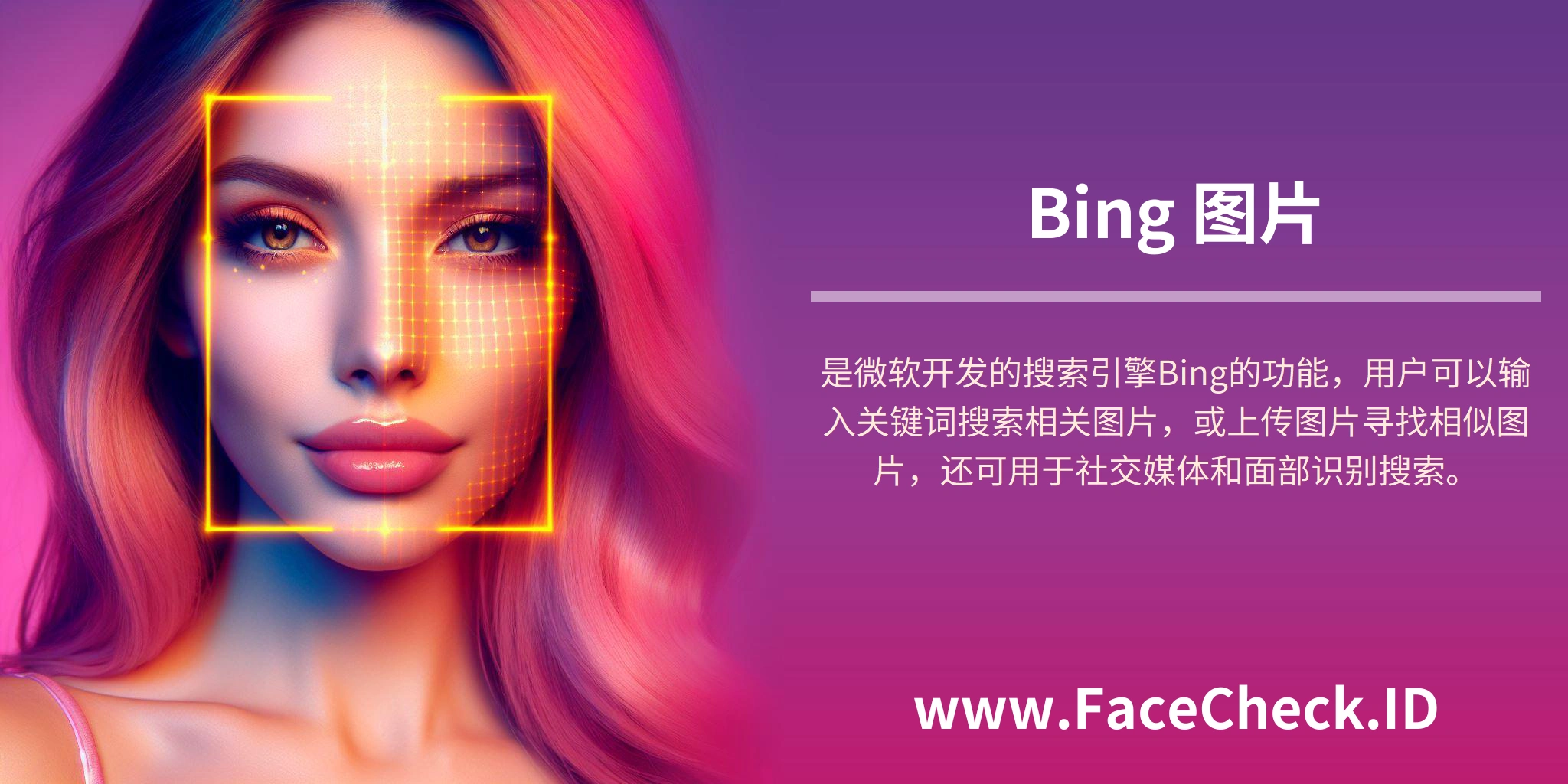 Bing 图片是微软开发的搜索引擎Bing的功能，用户可以输入关键词搜索相关图片，或上传图片寻找相似图片，还可用于社交媒体和面部识别搜索。