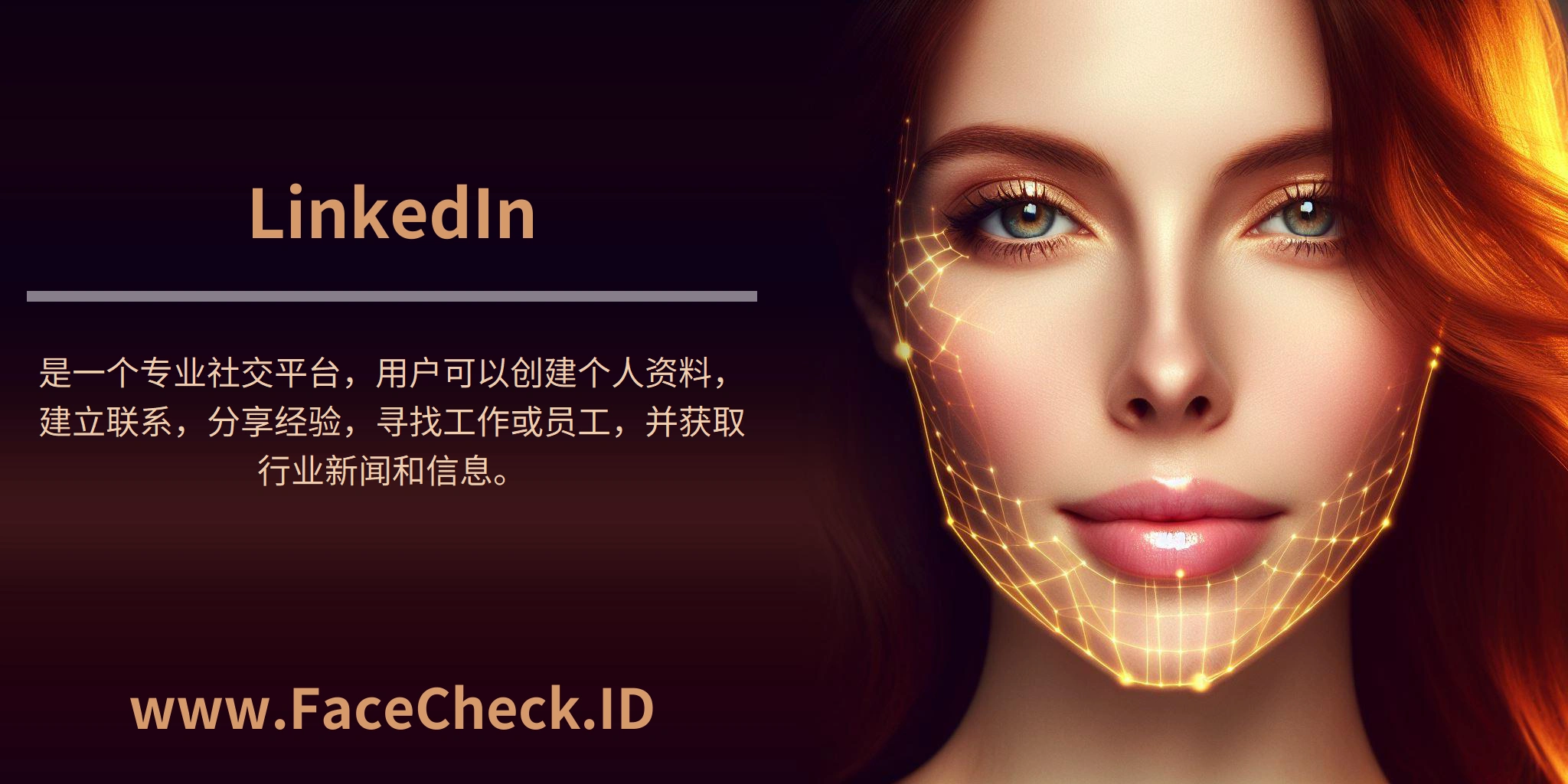 <b>LinkedIn</b>是一个专业社交平台，用户可以创建个人资料，建立联系，分享经验，寻找工作或员工，并获取行业新闻和信息。