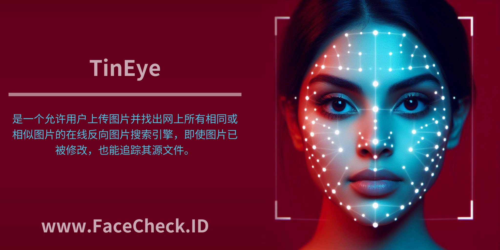 “<b>TinEye</b>”是一个允许用户上传图片并找出网上所有相同或相似图片的在线反向图片搜索引擎，即使图片已被修改，也能追踪其源文件。