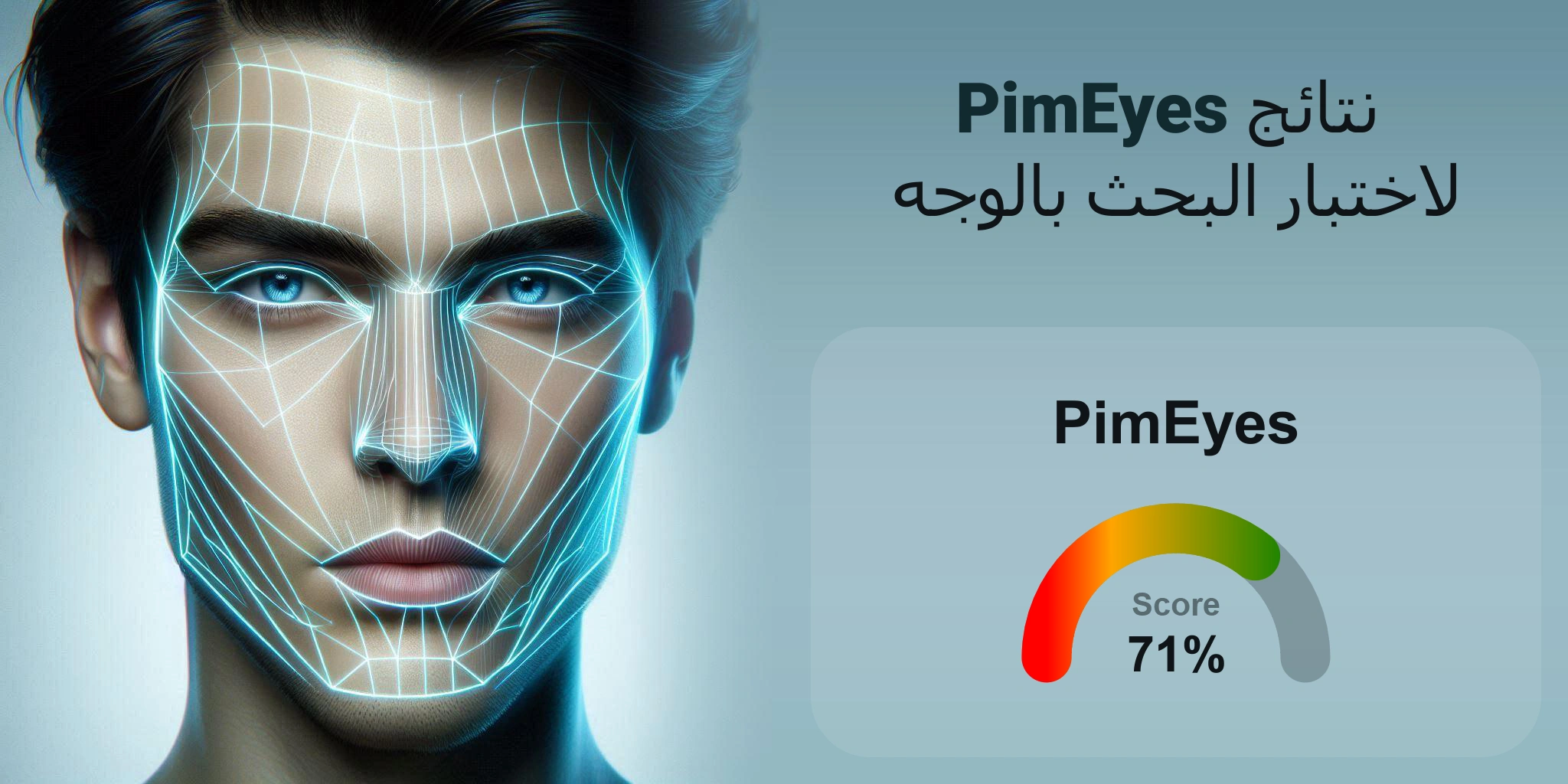 هل PimEyes هو الأفضل للبحث بالوجه؟