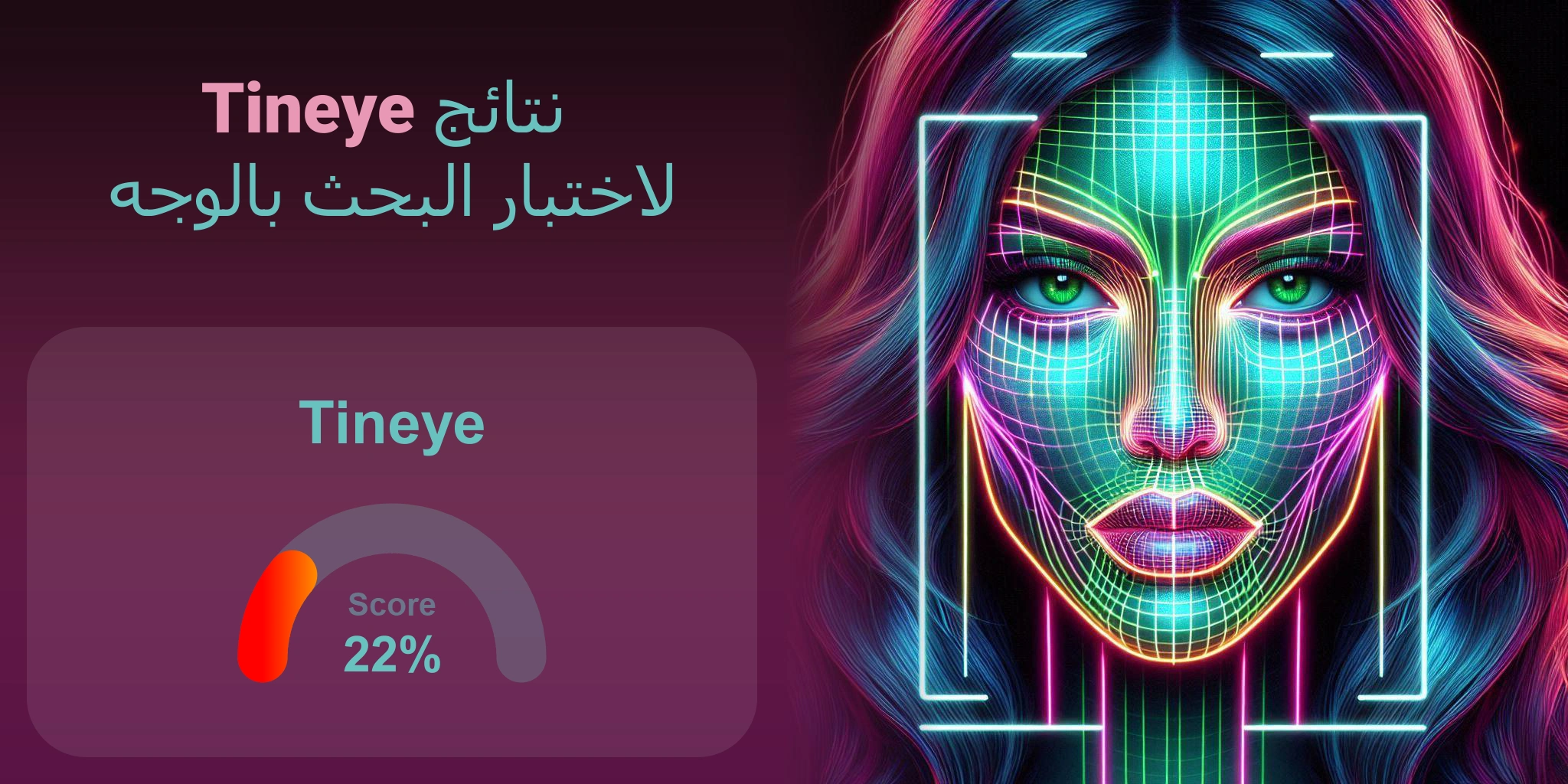 هل Tineye هو الأفضل للبحث بالوجه؟