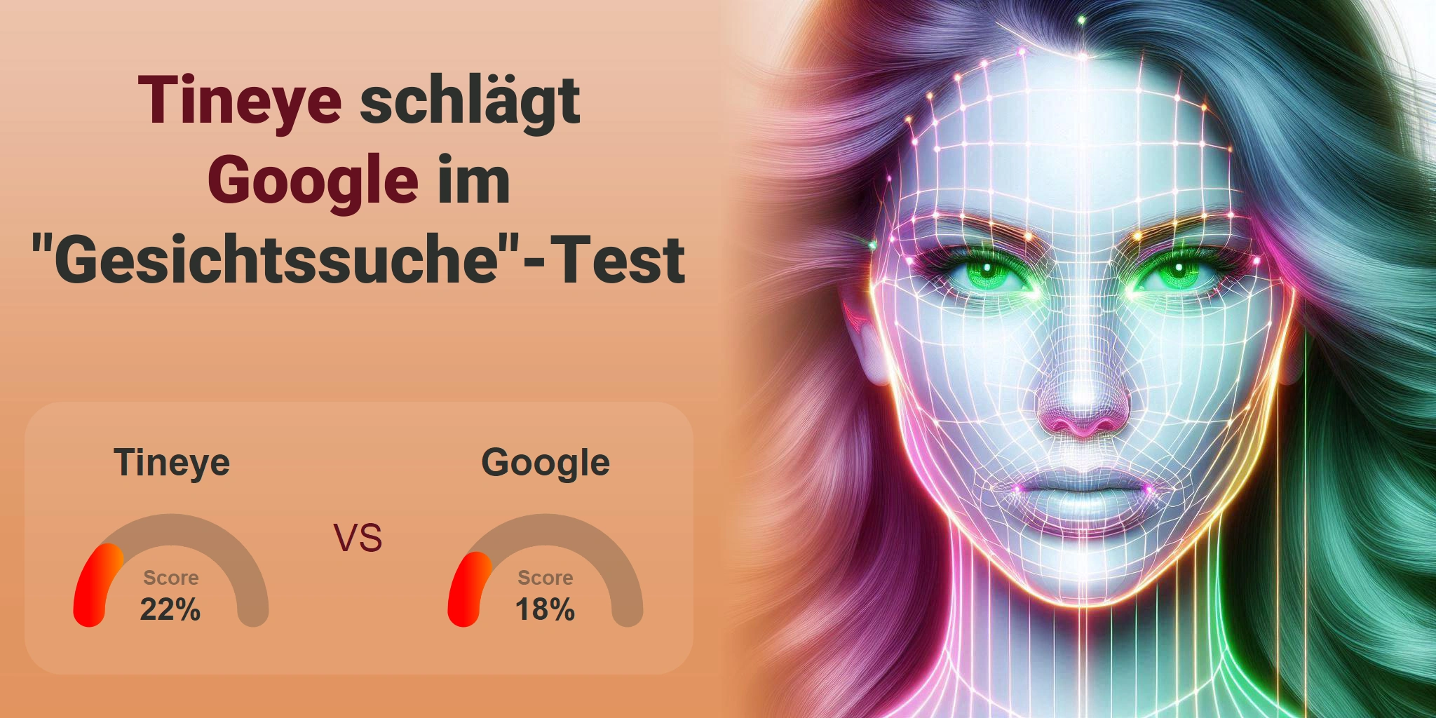 Welcher ist besser für die Gesichtssuche: <br>Google oder Tineye?