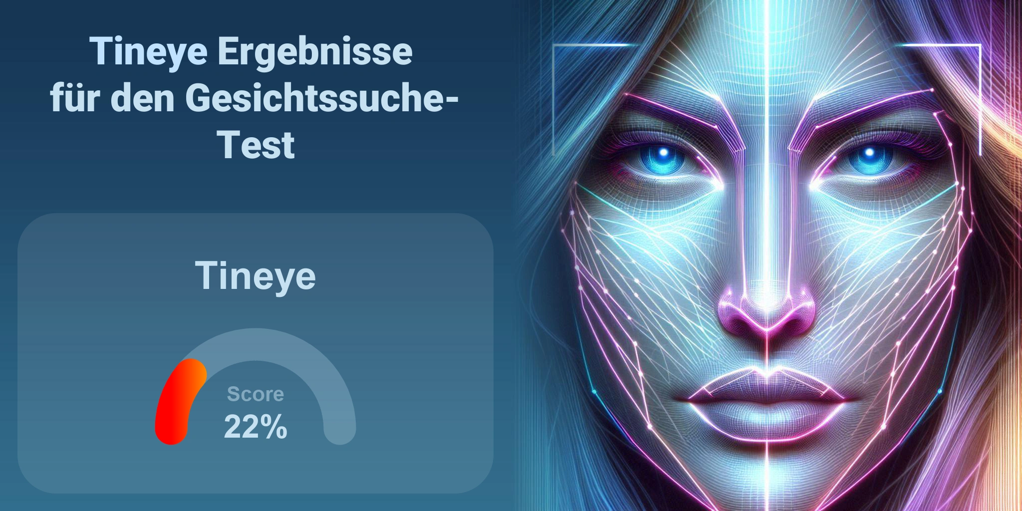 Ist Tineye der Beste für die Gesichtssuche?