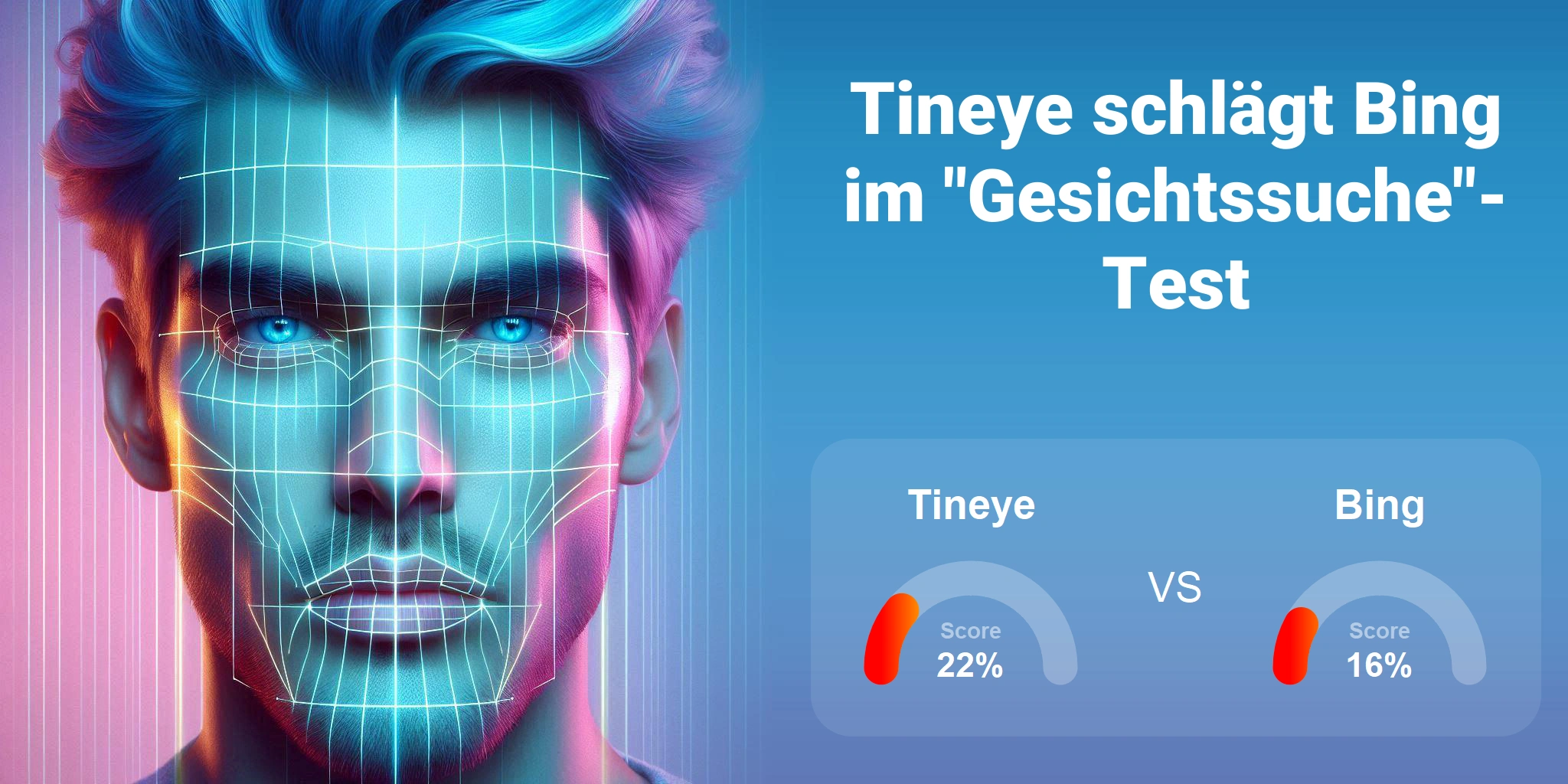 Welcher ist besser für die Gesichtssuche: <br>Tineye oder Bing?