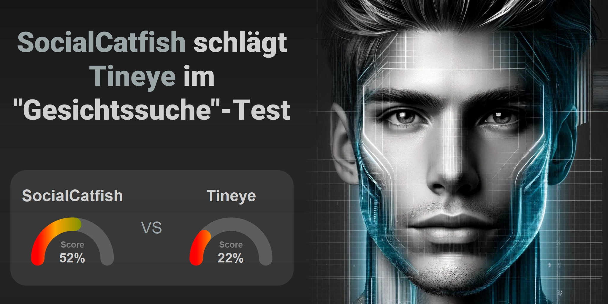 Welcher ist besser für die Gesichtssuche: <br>Tineye oder SocialCatfish?