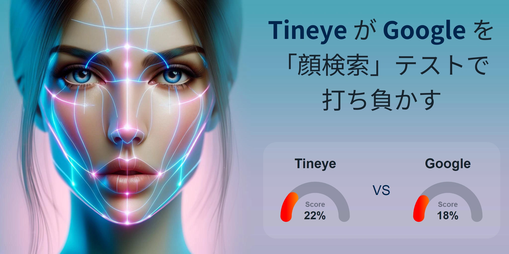 顔検索に最適なのはどちら？：Google か Tineye?