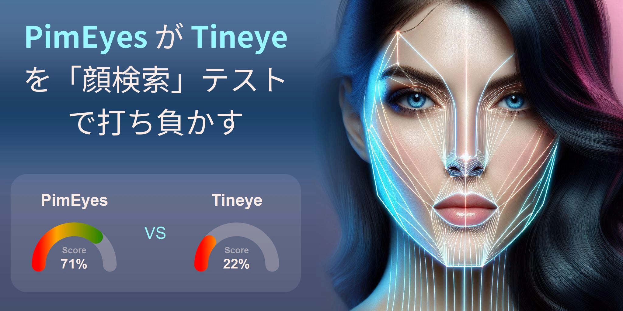 顔検索に最適なのはどちら？：PimEyes か Tineye?