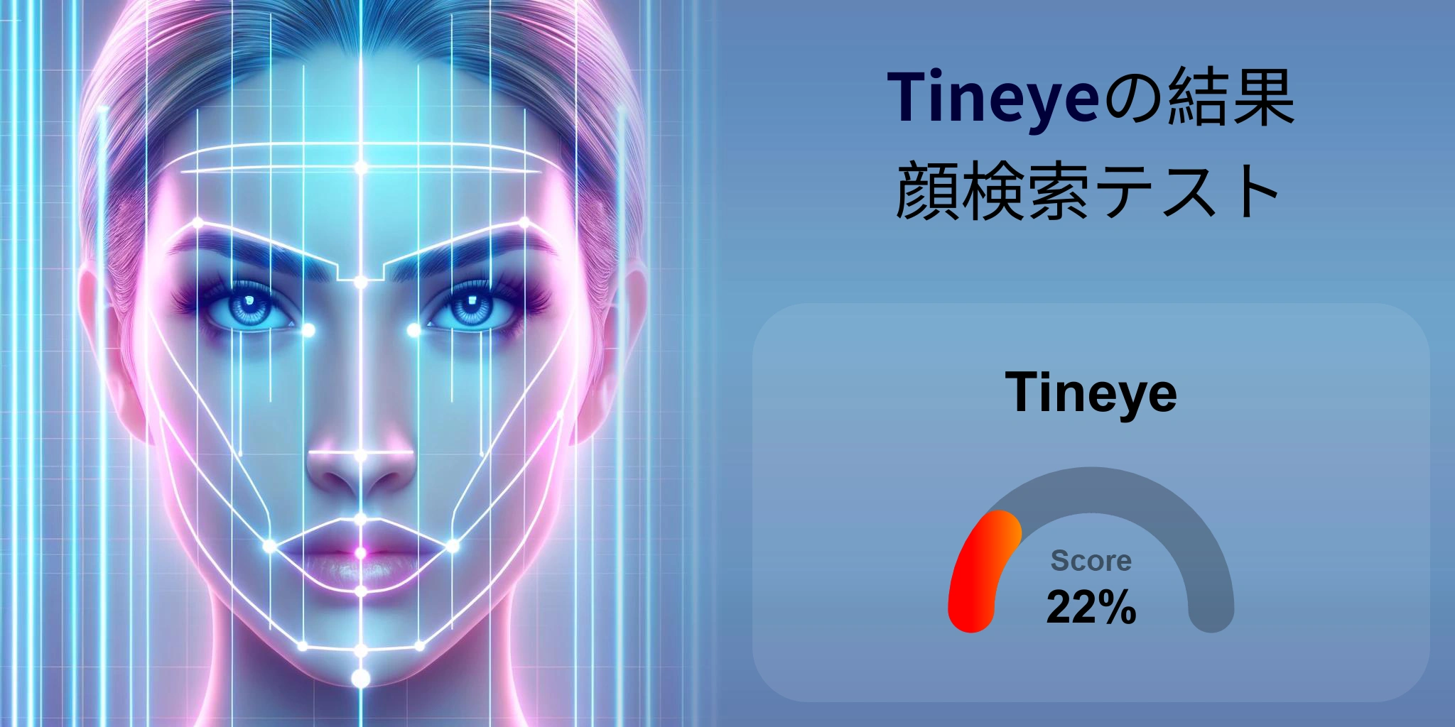 顔検索に最適なのは Tineye か？