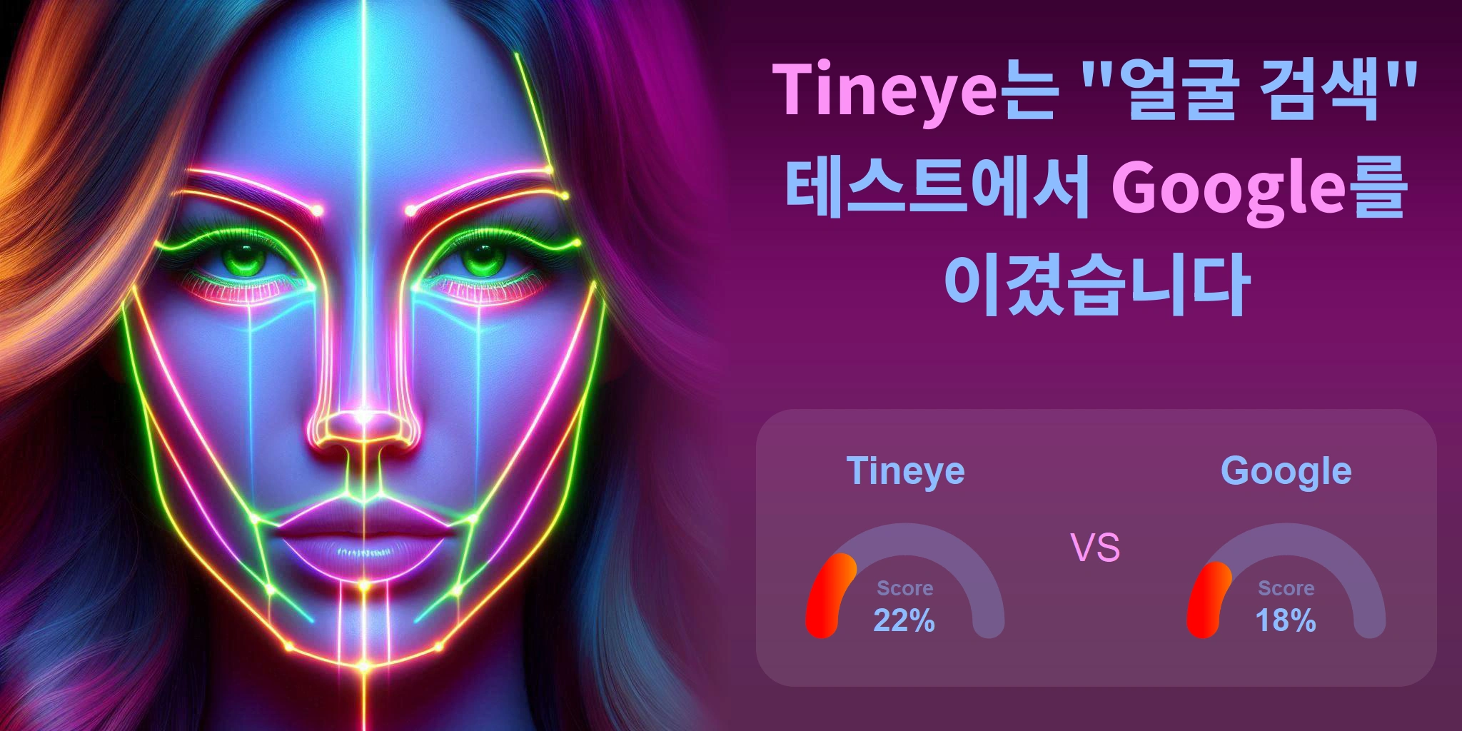 얼굴 검색에 더 좋은 것은 무엇입니까: <br>Google 또는 Tineye?