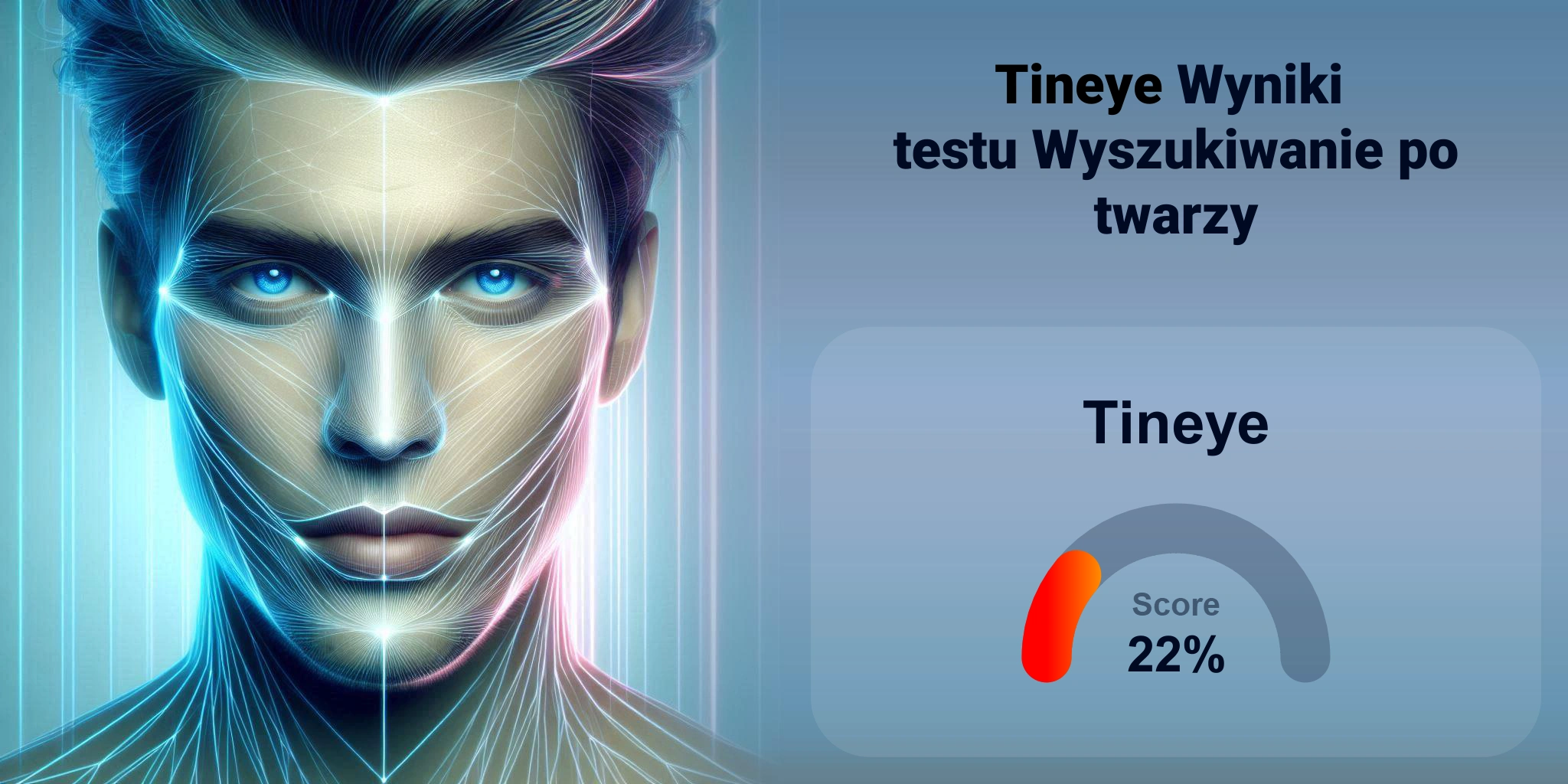 Czy Tineye jest najlepszy do wyszukiwania twarzy?
